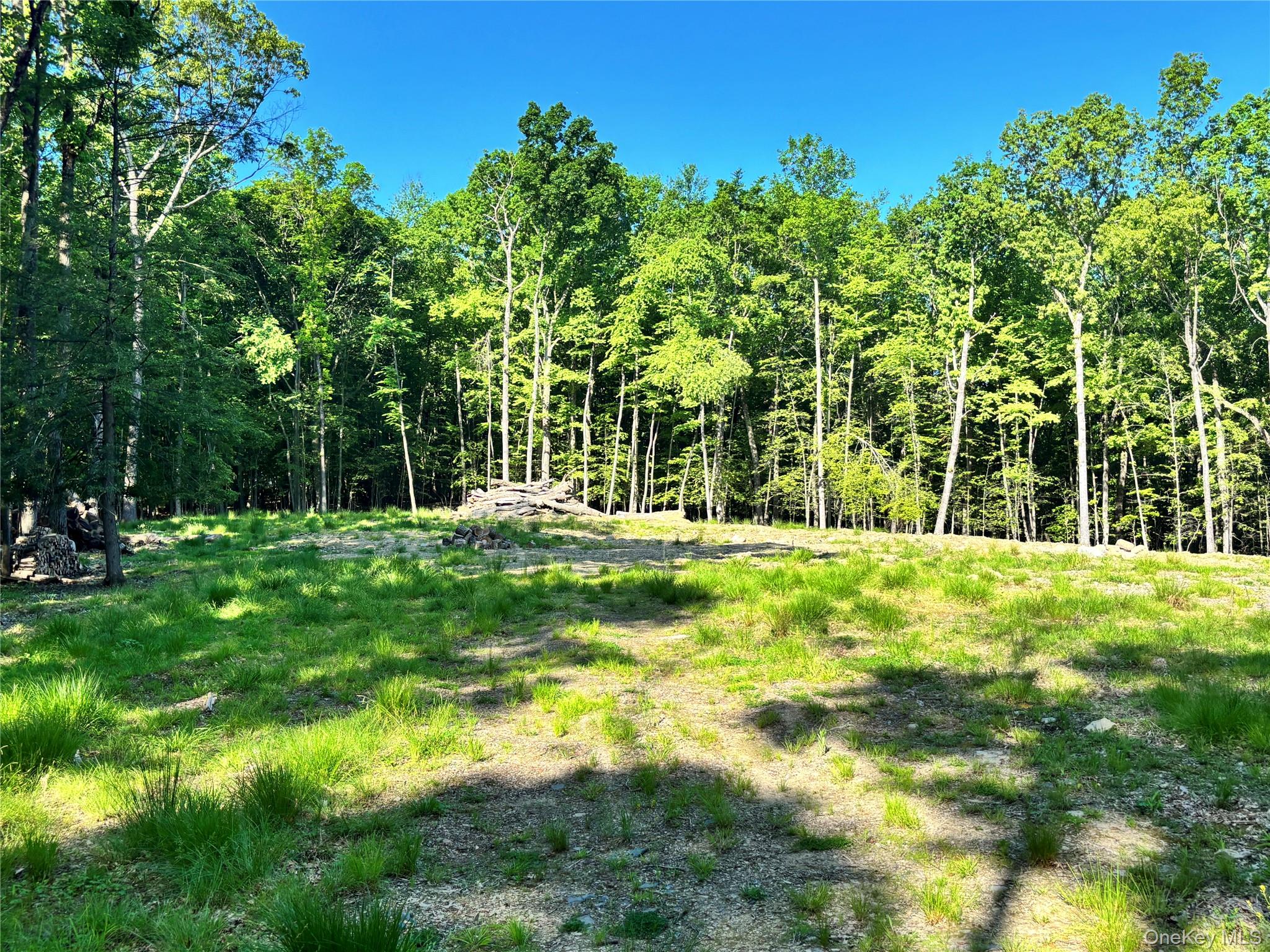 South Plank Road – For Sale photo 5