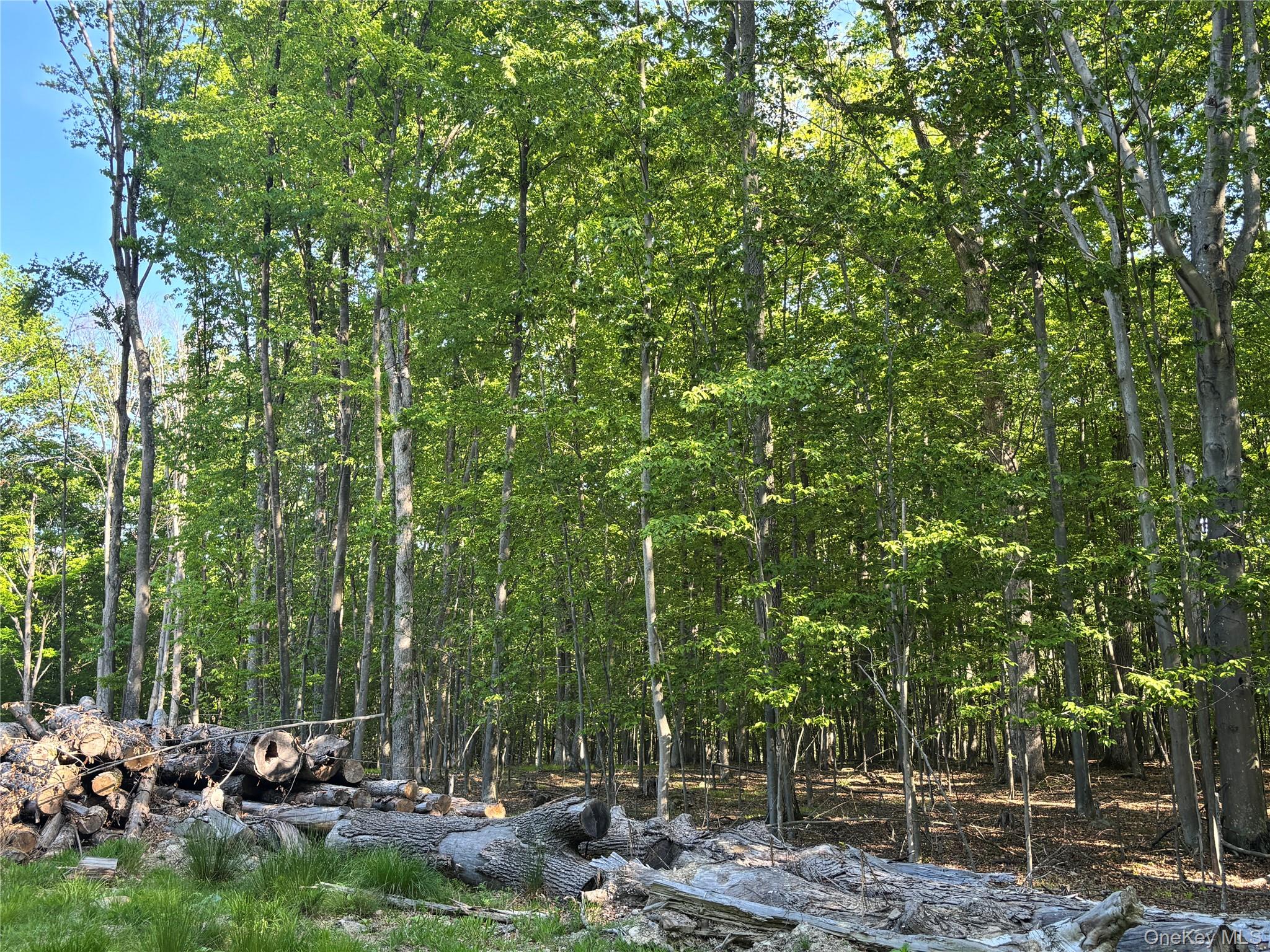 South Plank Road – For Sale photo 7
