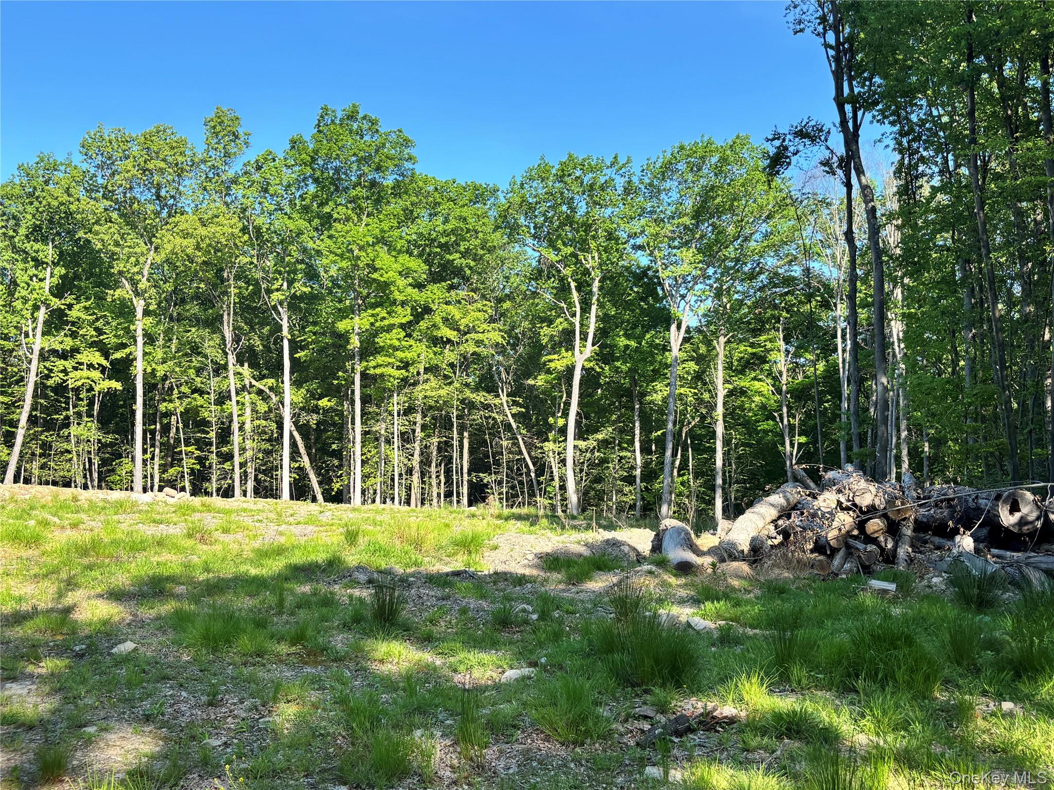 South Plank Road – For Sale photo 6