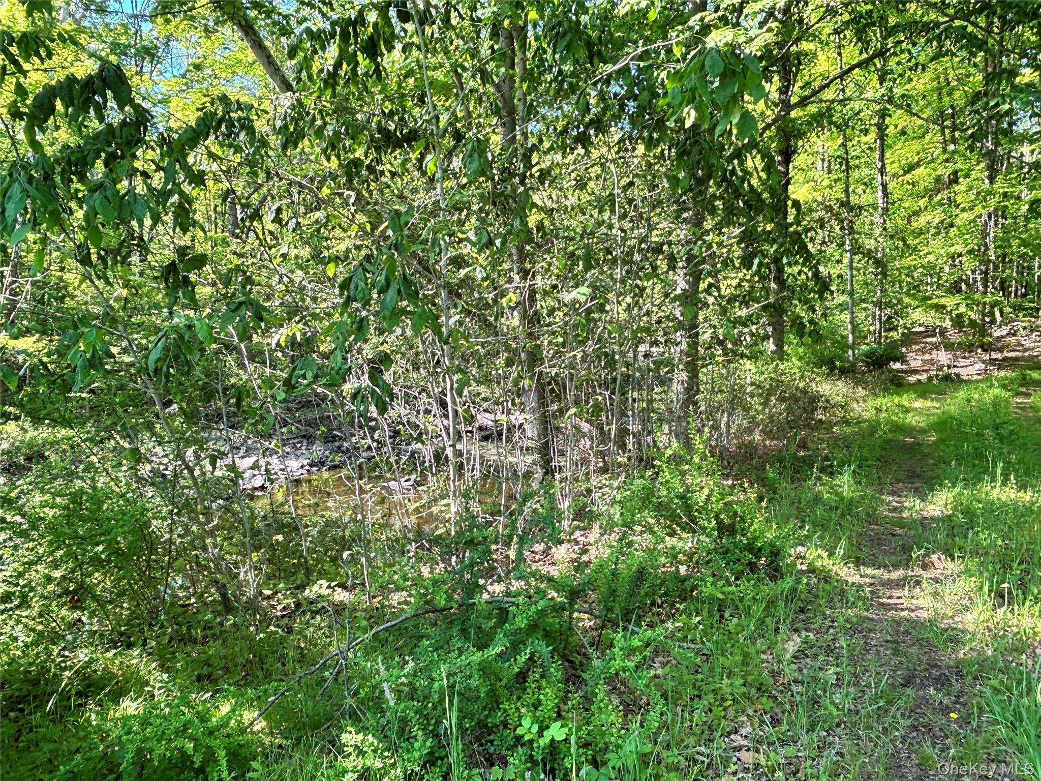 South Plank Road – For Sale photo 12
