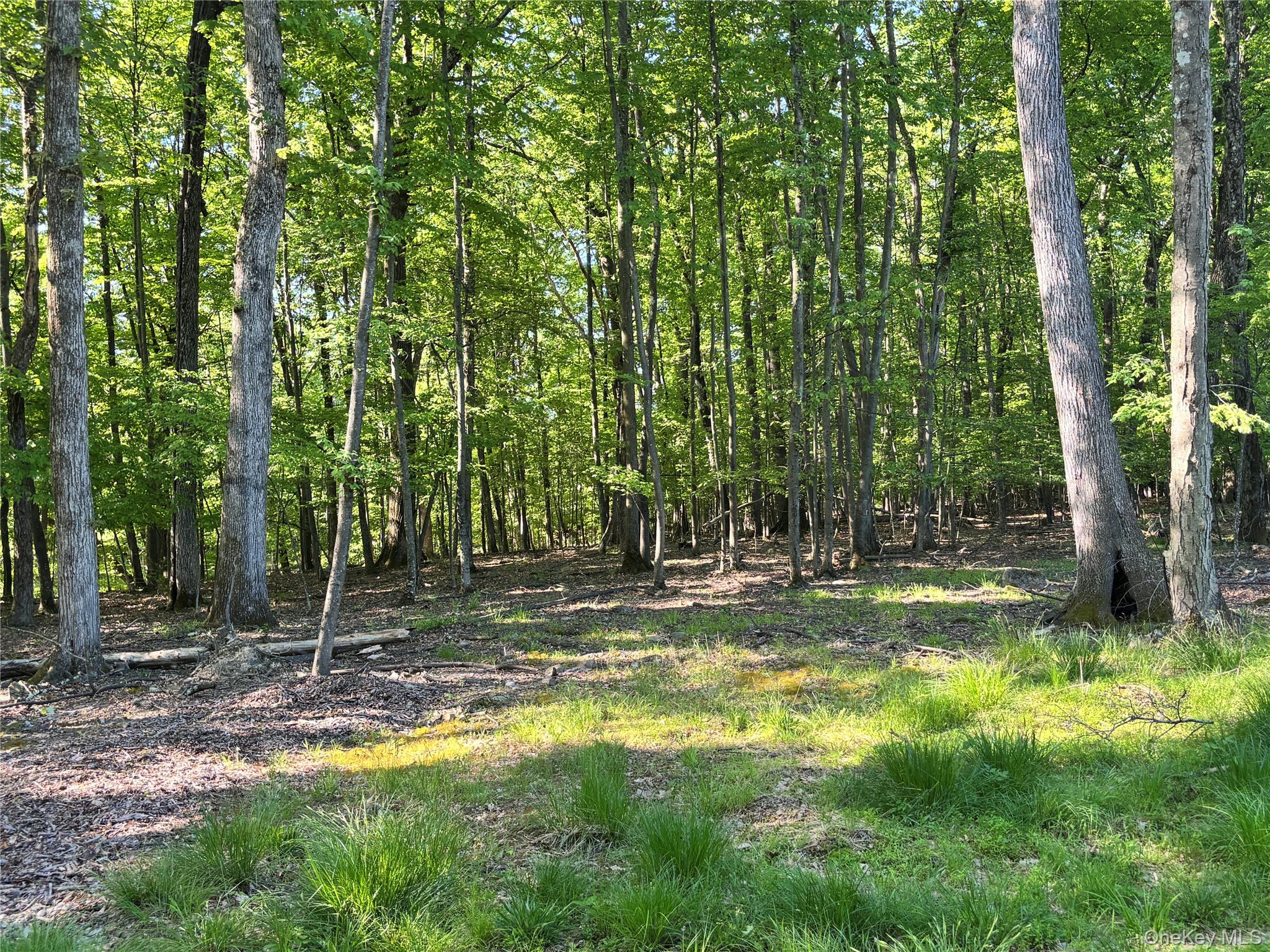 South Plank Road – For Sale photo 9