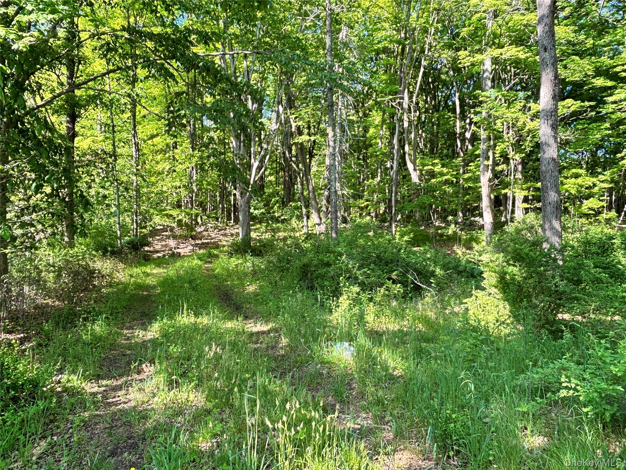 South Plank Road – For Sale photo 13