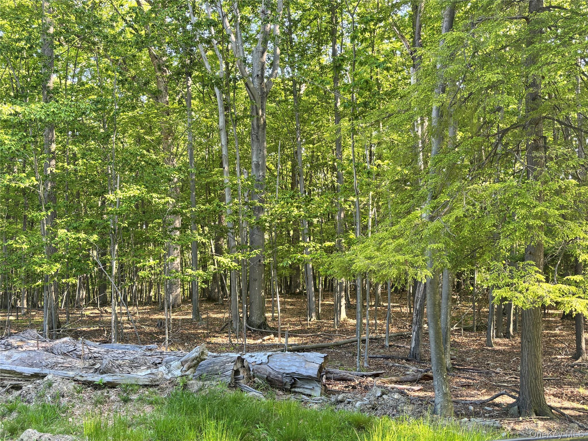 South Plank Road – For Sale photo 8