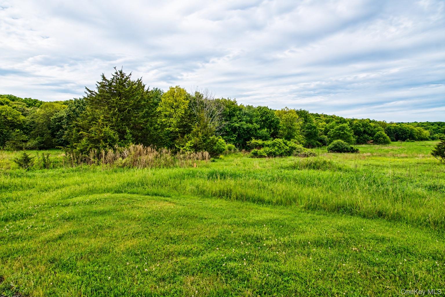 492 Black Meadow Road – For Sale photo 12