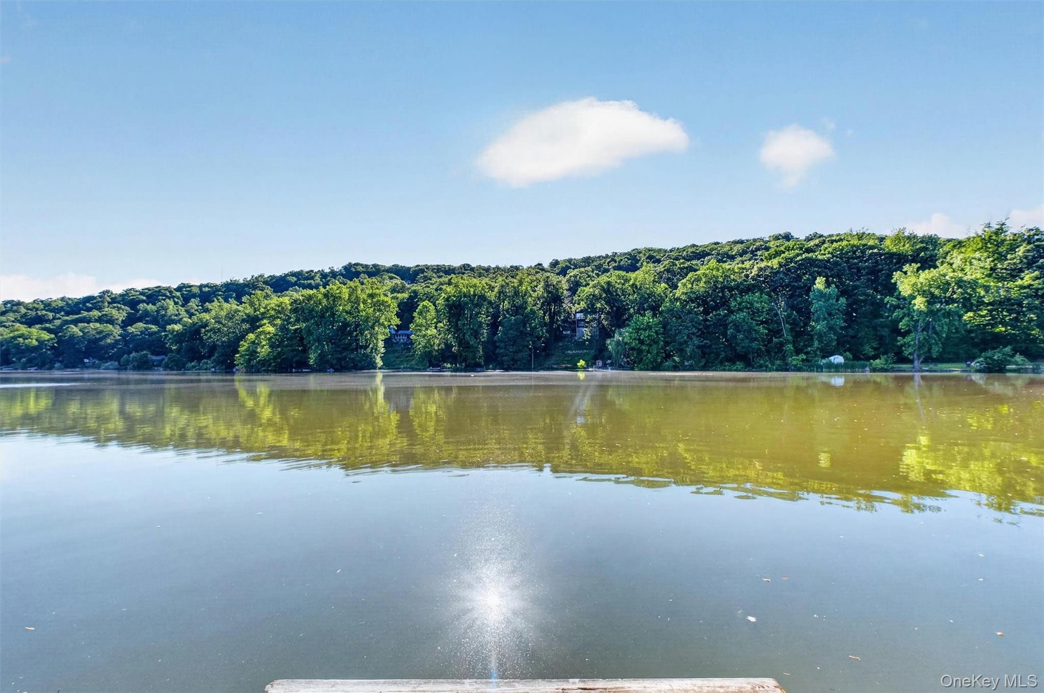 51 Lake Drive – For Sale photo 40