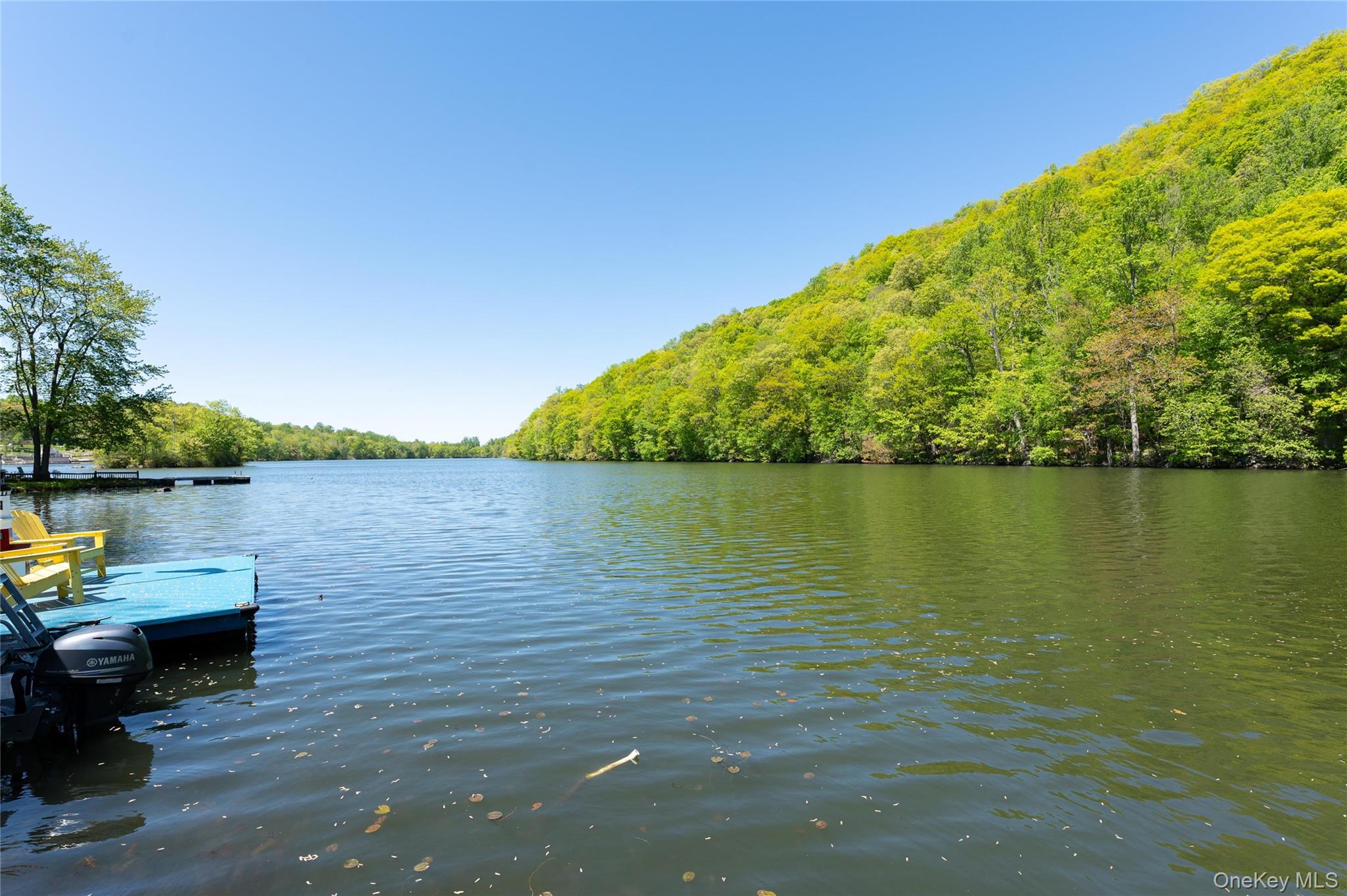 53 Cove Road – For Rent photo 31