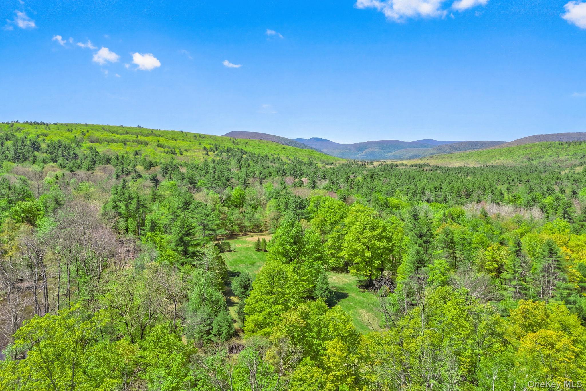 334 Yerry Hill Road – For Sale photo 16