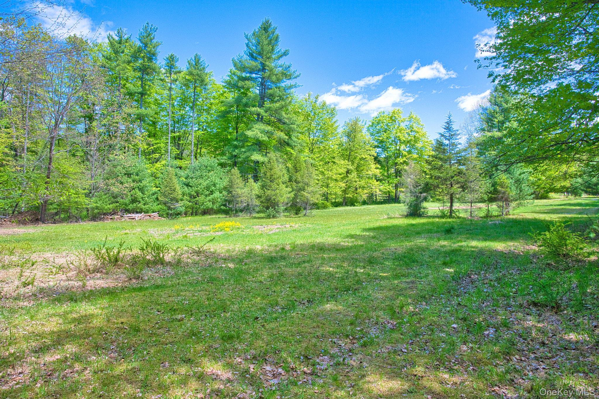 334 Yerry Hill Road – For Sale photo 44