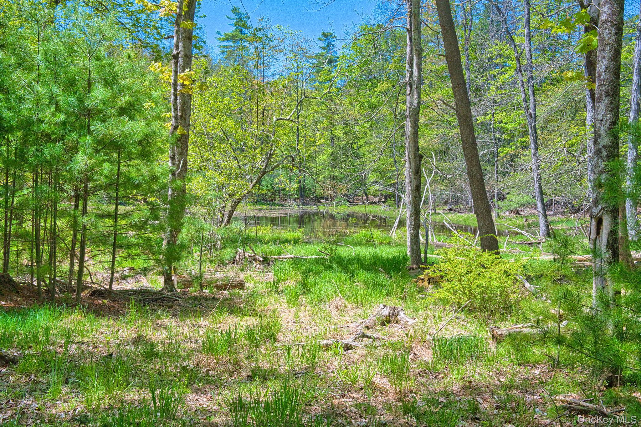 334 Yerry Hill Road – For Sale photo 48