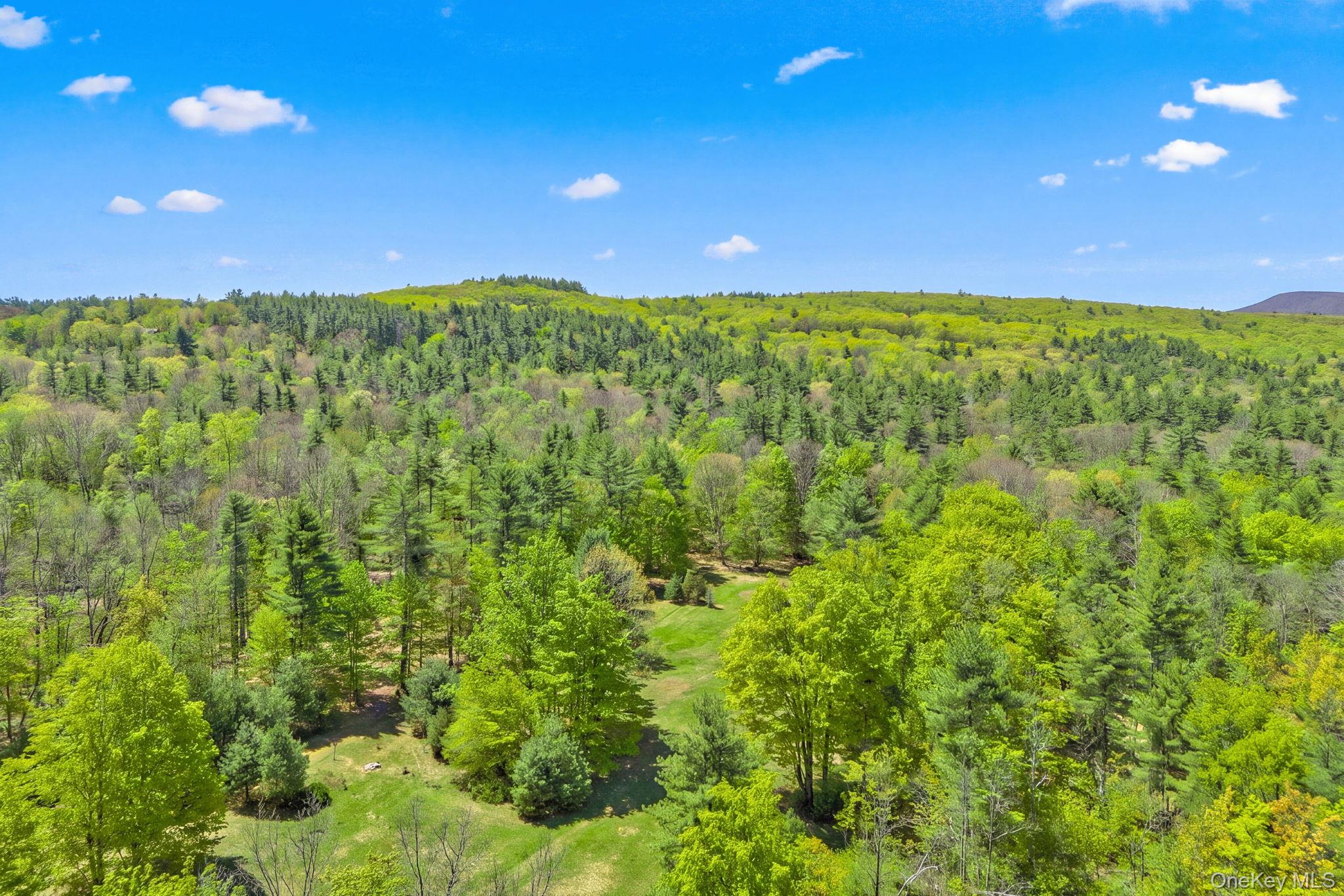 334 Yerry Hill Road – For Sale photo 15