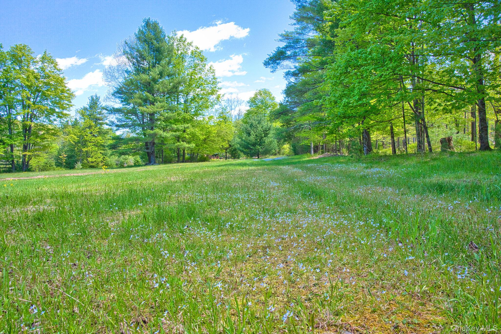 334 Yerry Hill Road – For Sale photo 45