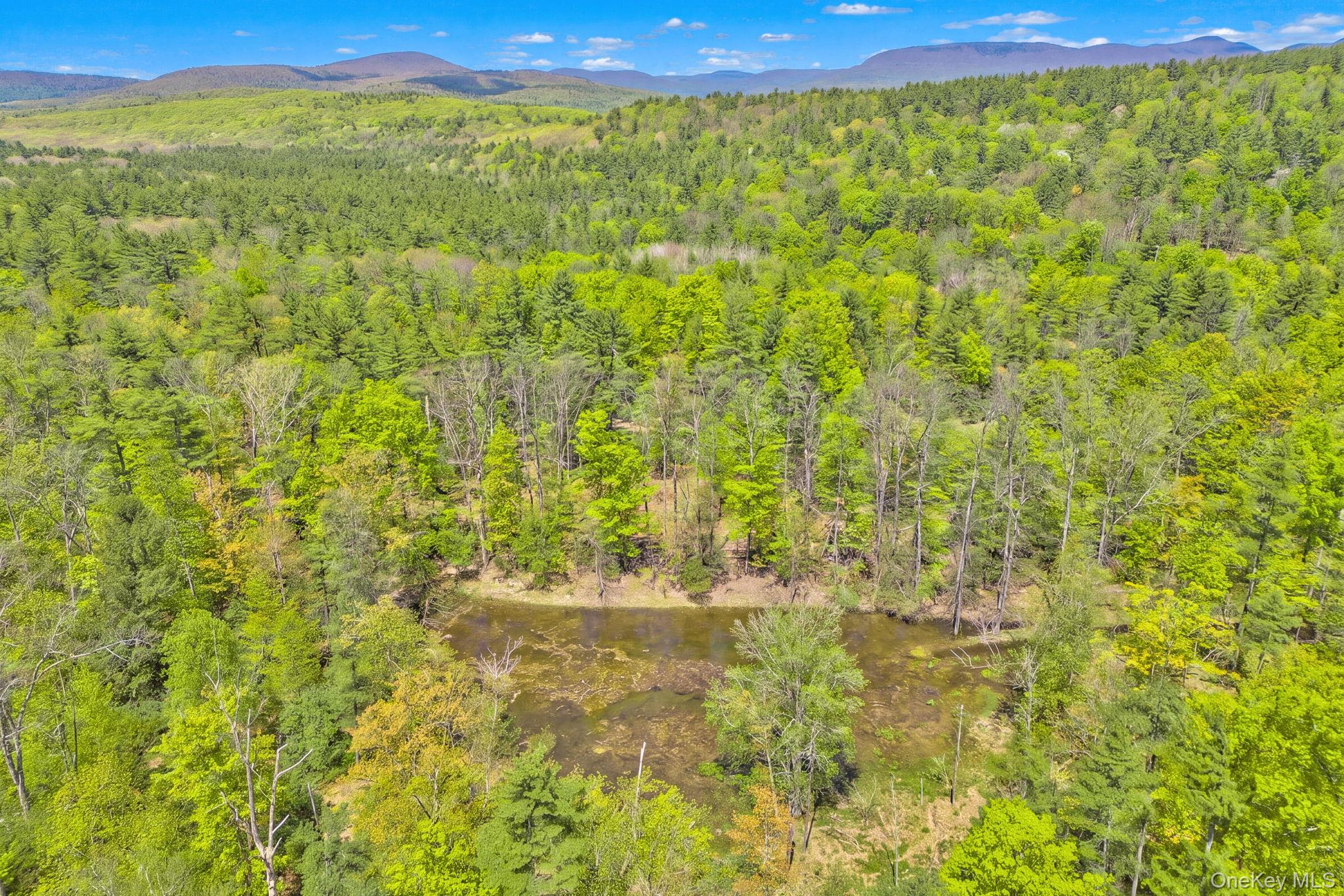334 Yerry Hill Road – For Sale photo 13