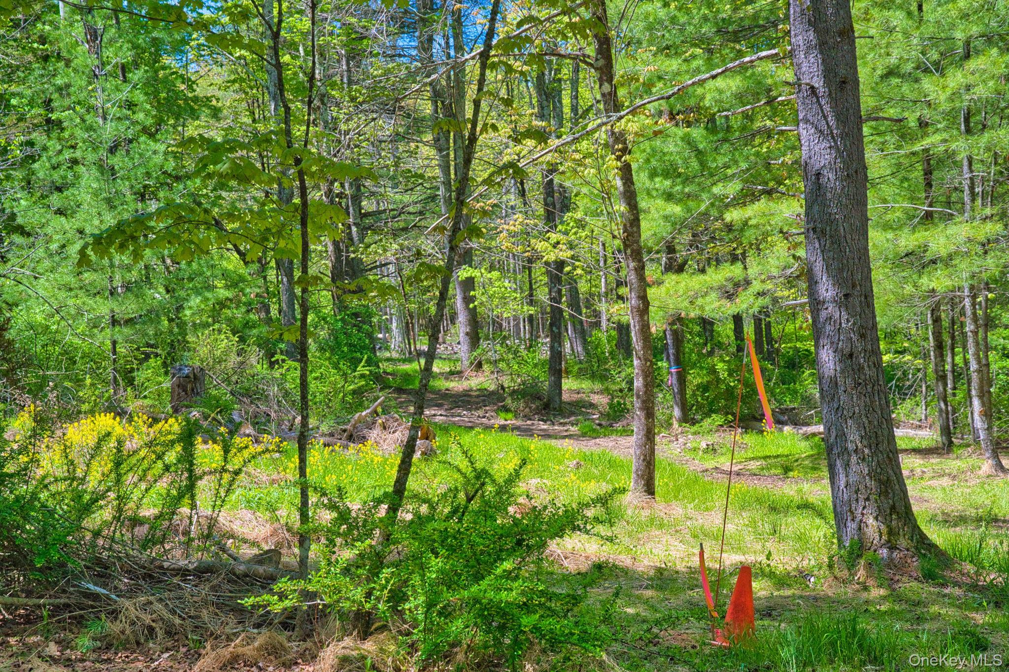 334 Yerry Hill Road – For Sale photo 23