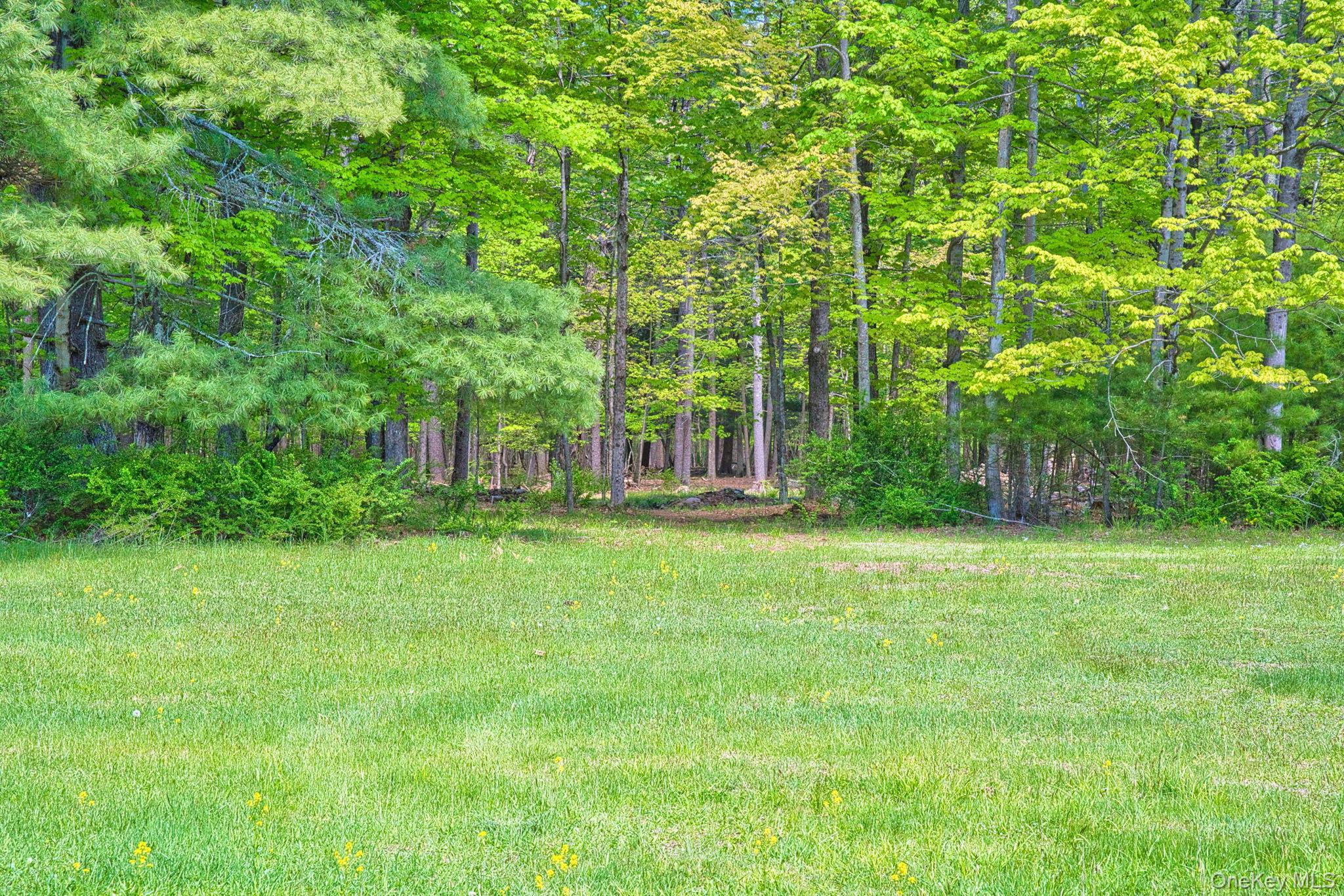 334 Yerry Hill Road – For Sale photo 46
