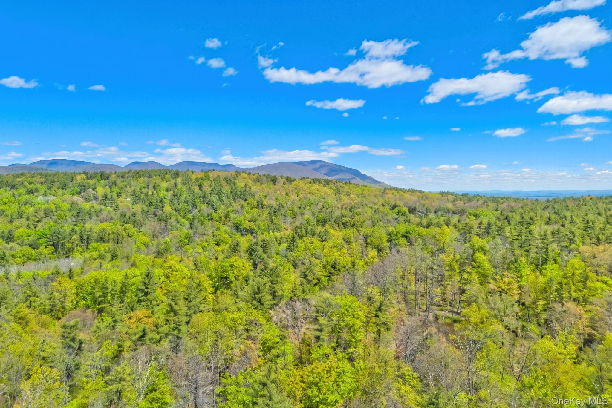 334 Yerry Hill Road – For Sale photo 12