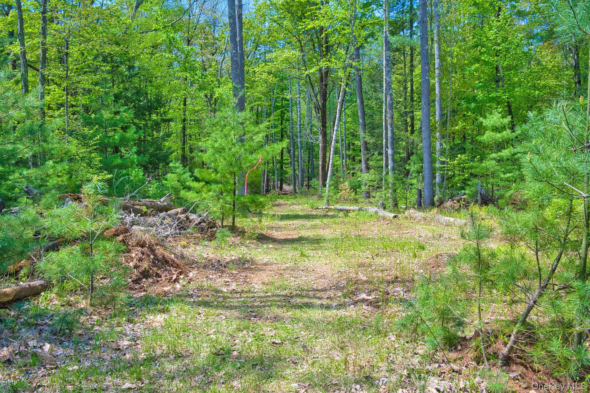 334 Yerry Hill Road – For Sale photo 40