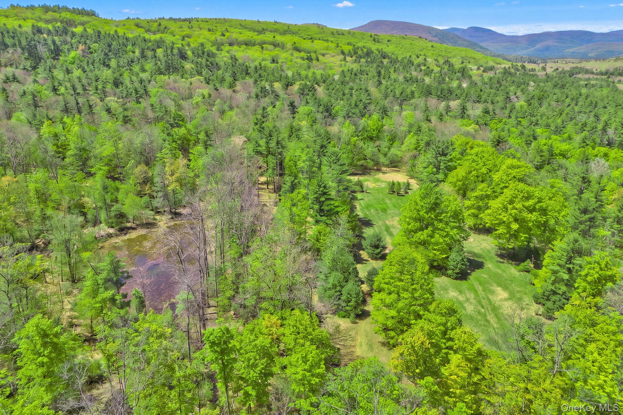 334 Yerry Hill Road – For Sale photo 14