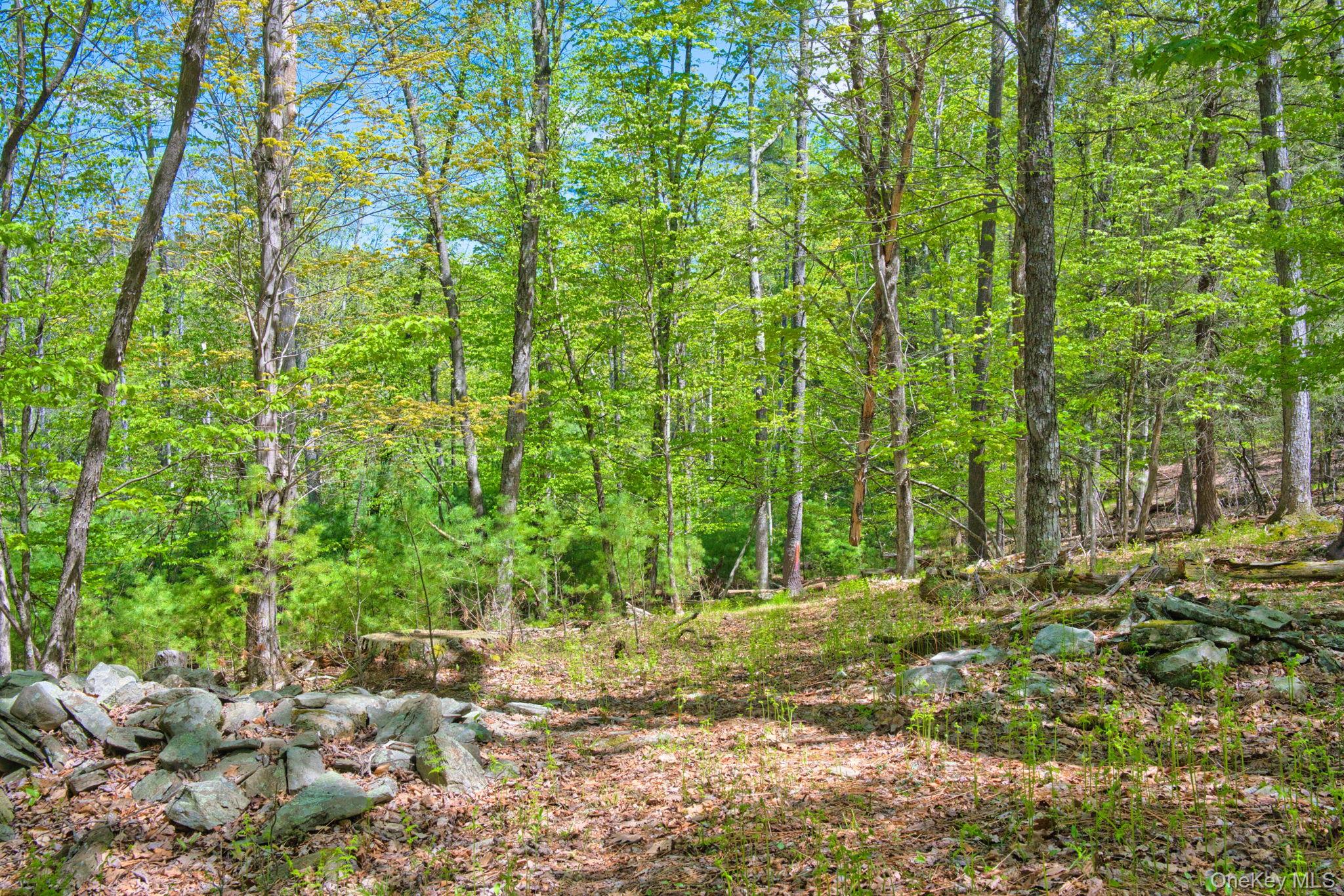 334 Yerry Hill Road – For Sale photo 42