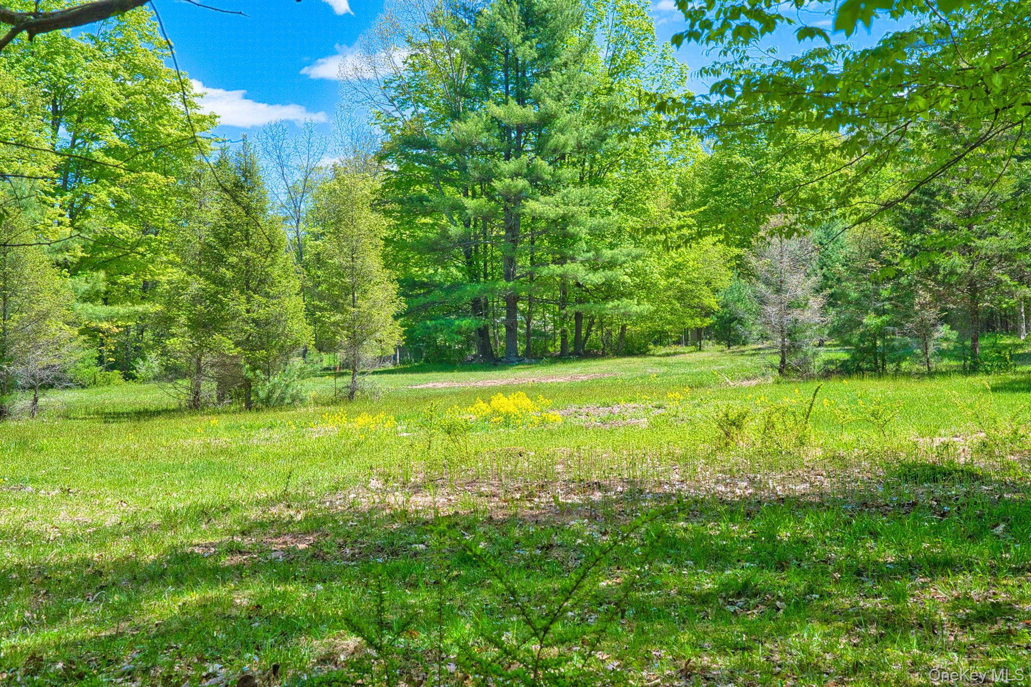 334 Yerry Hill Road – For Sale photo 43
