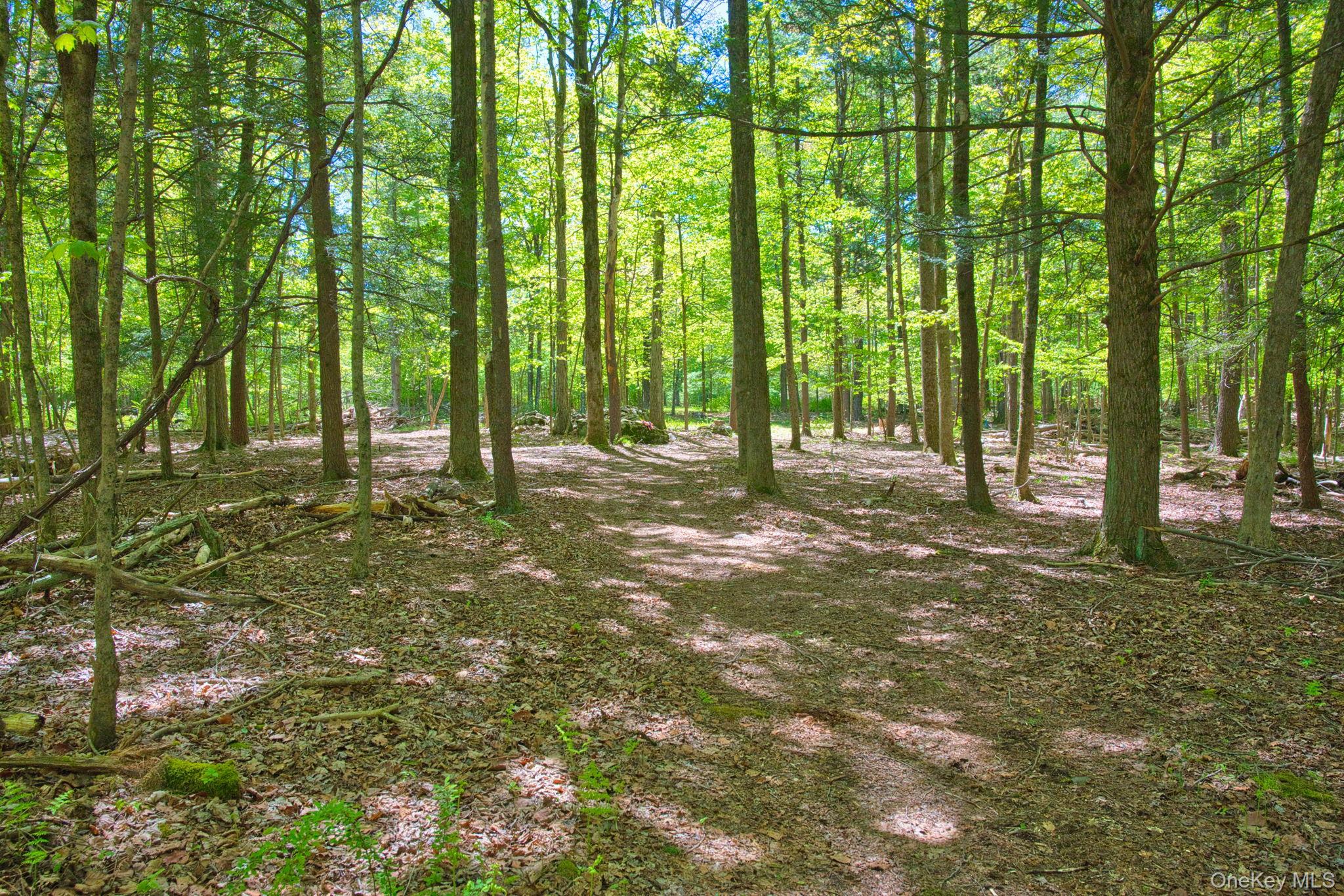 334 Yerry Hill Road – For Sale photo 27