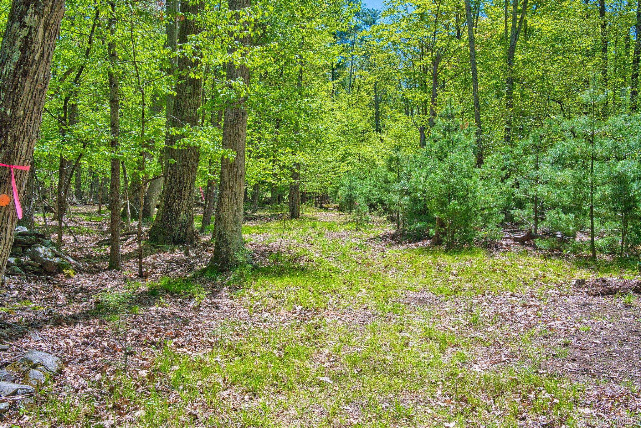 334 Yerry Hill Road – For Sale photo 41