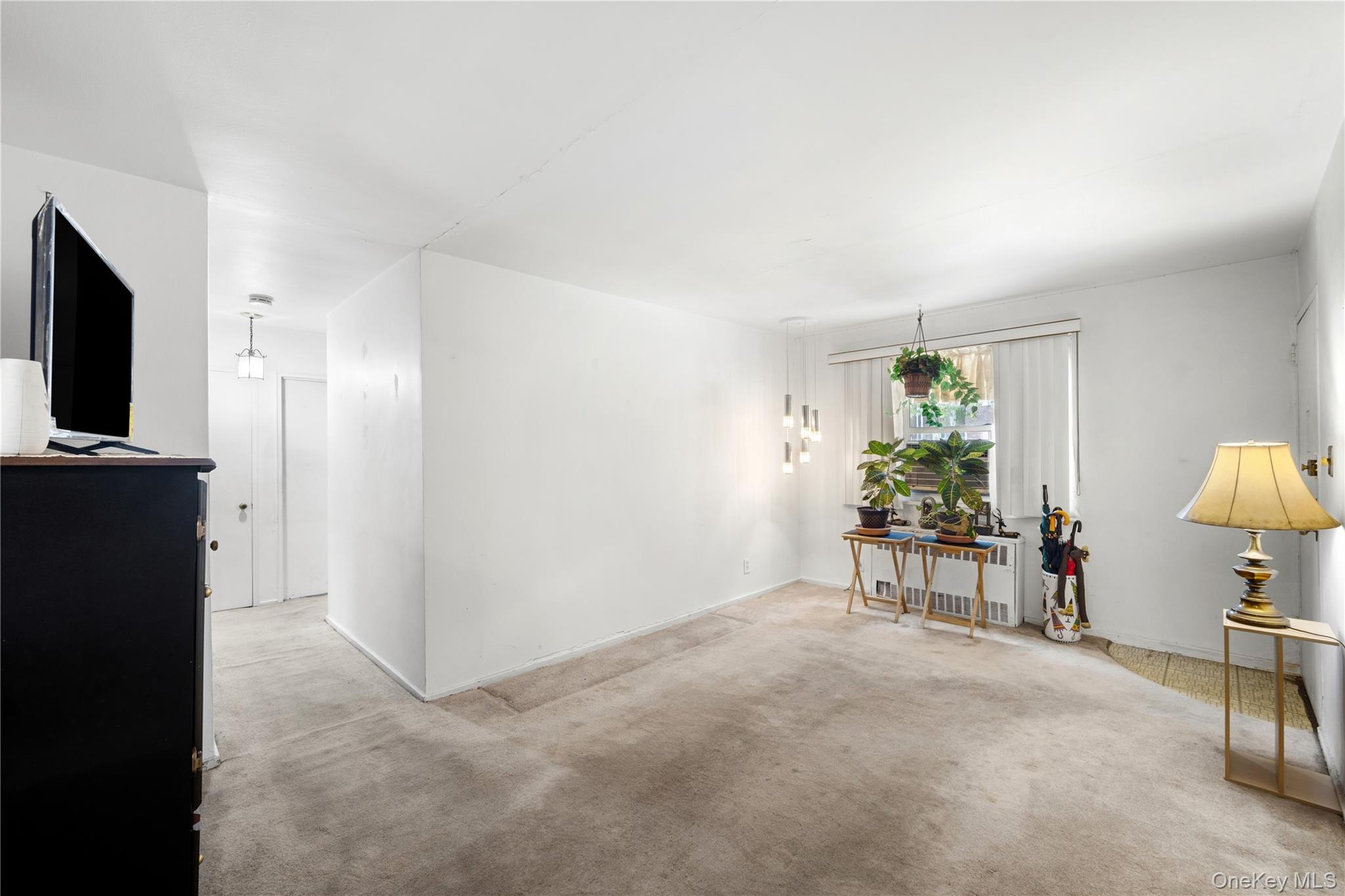 224-20 Manor Road, Unit 9-1 photo 5