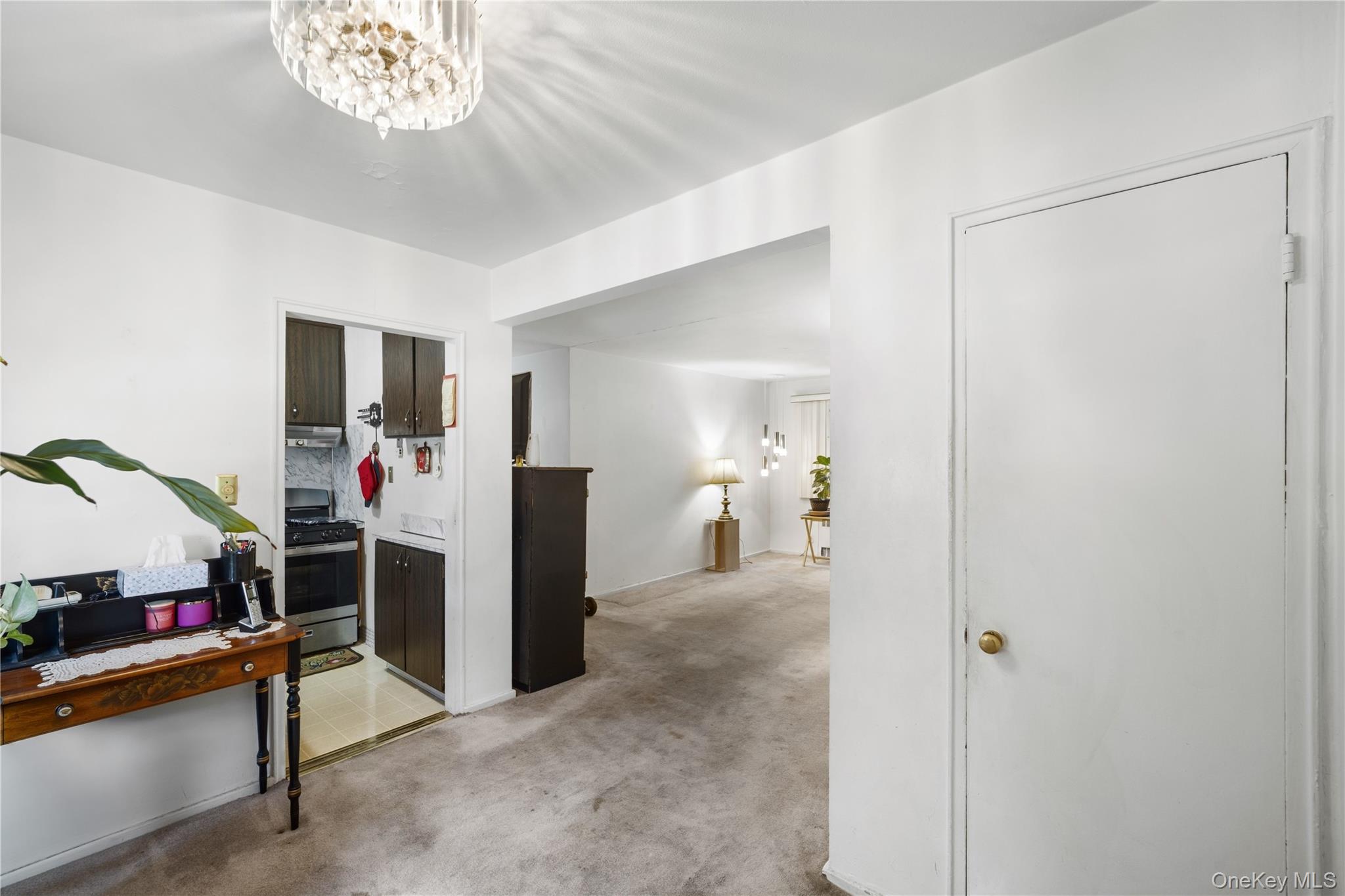 224-20 Manor Road, Unit 9-1 photo 8