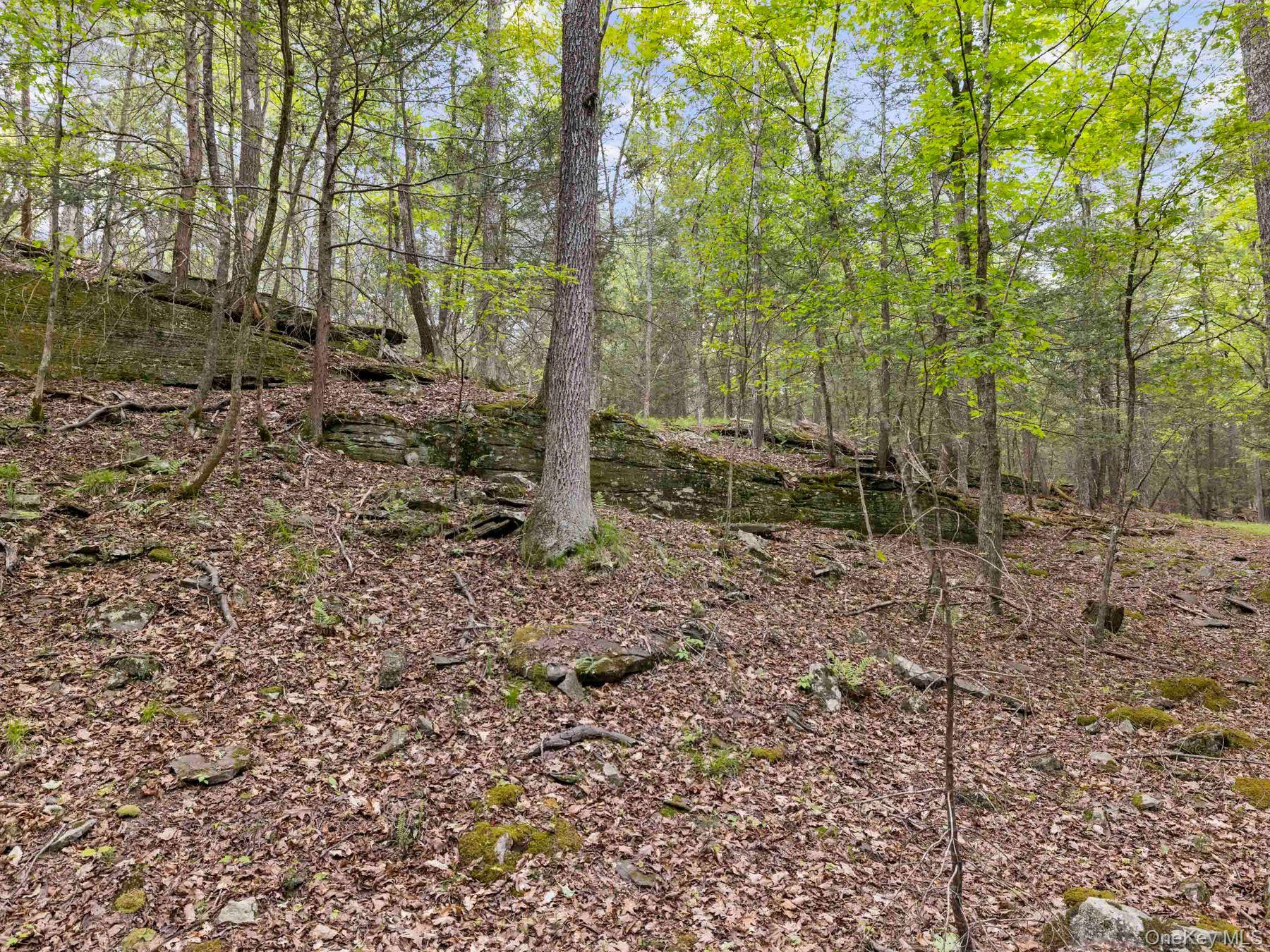 40 Mamoud Hills, Lot #4 Road – For Sale photo 33