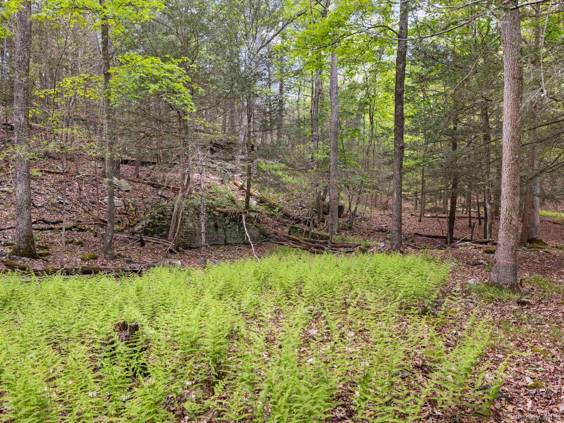 40 Mamoud Hills, Lot #4 Road – For Sale photo 29