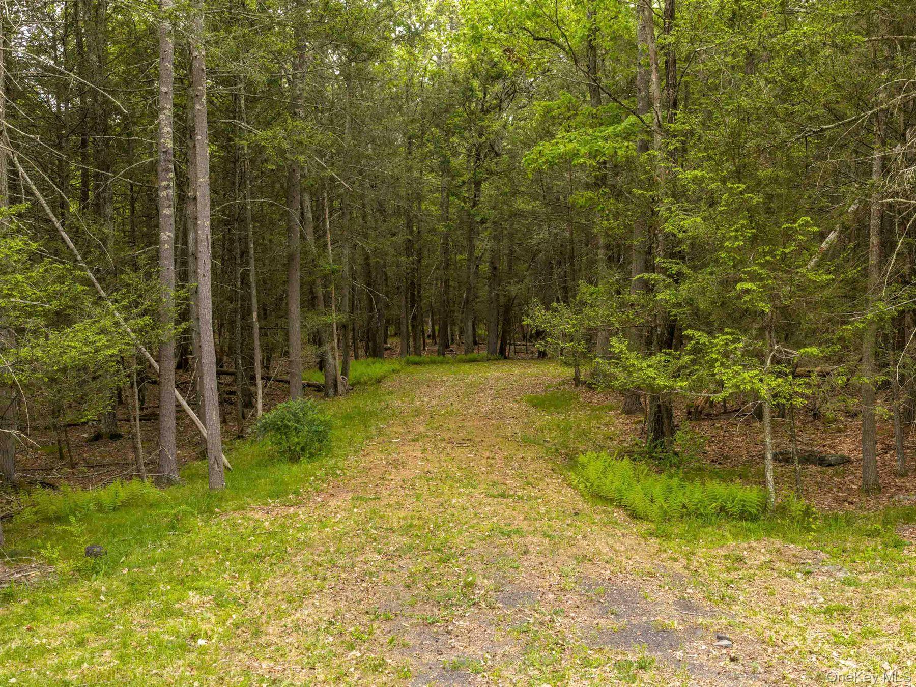 40 Mamoud Hills, Lot #4 Road – For Sale photo 25