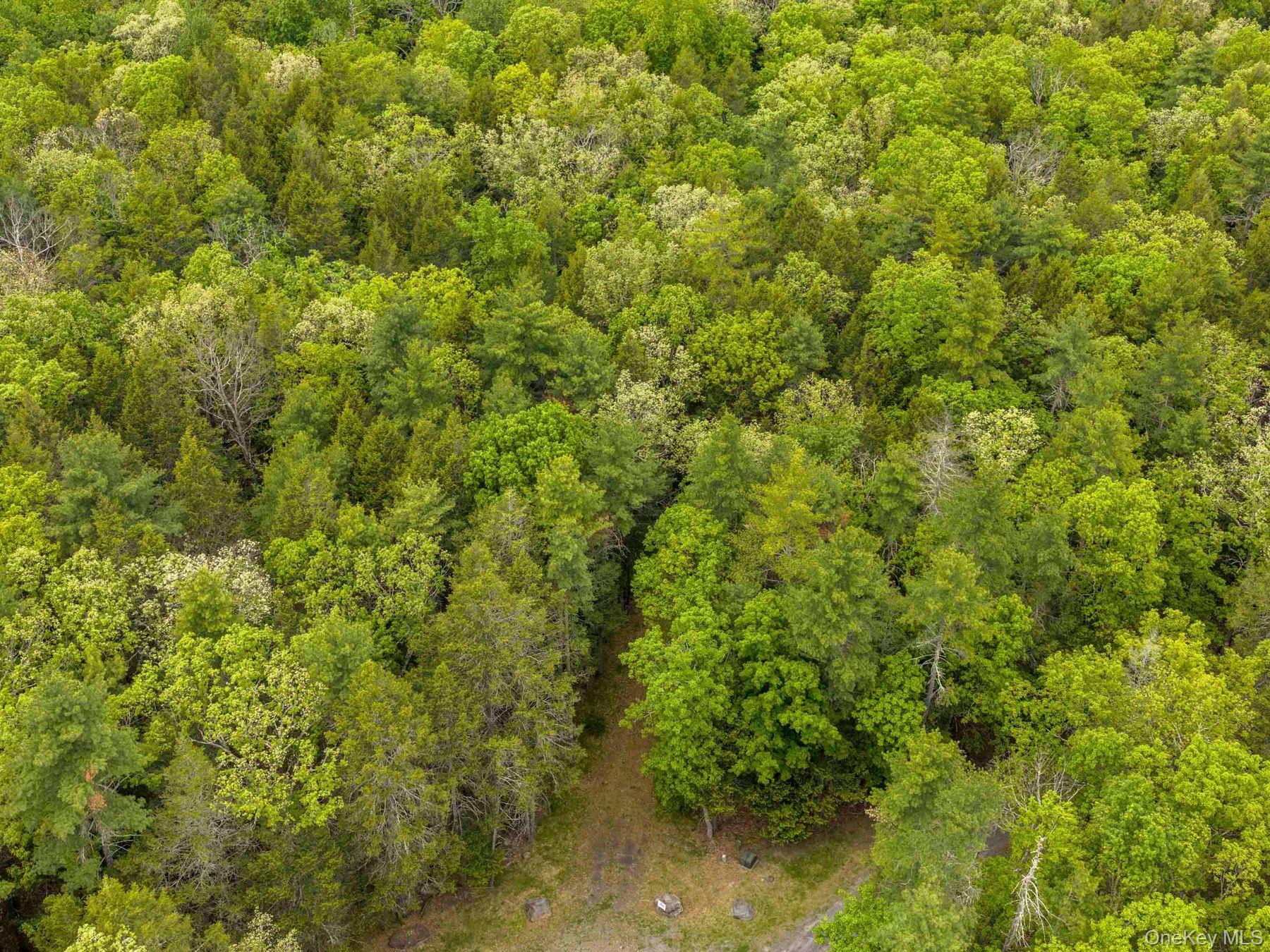40 Mamoud Hills, Lot #4 Road – For Sale photo 26