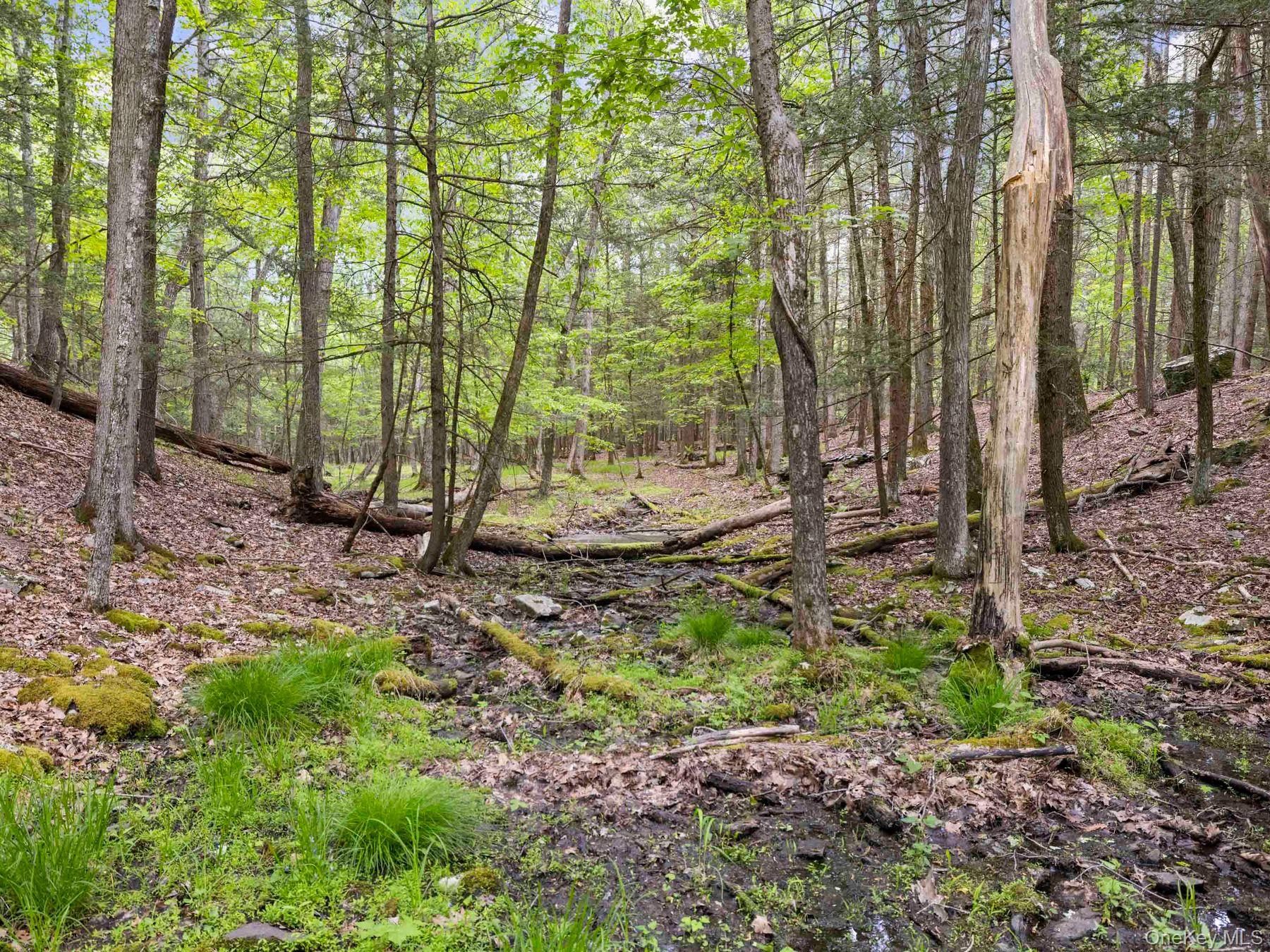 40 Mamoud Hills, Lot #4 Road – For Sale photo 36