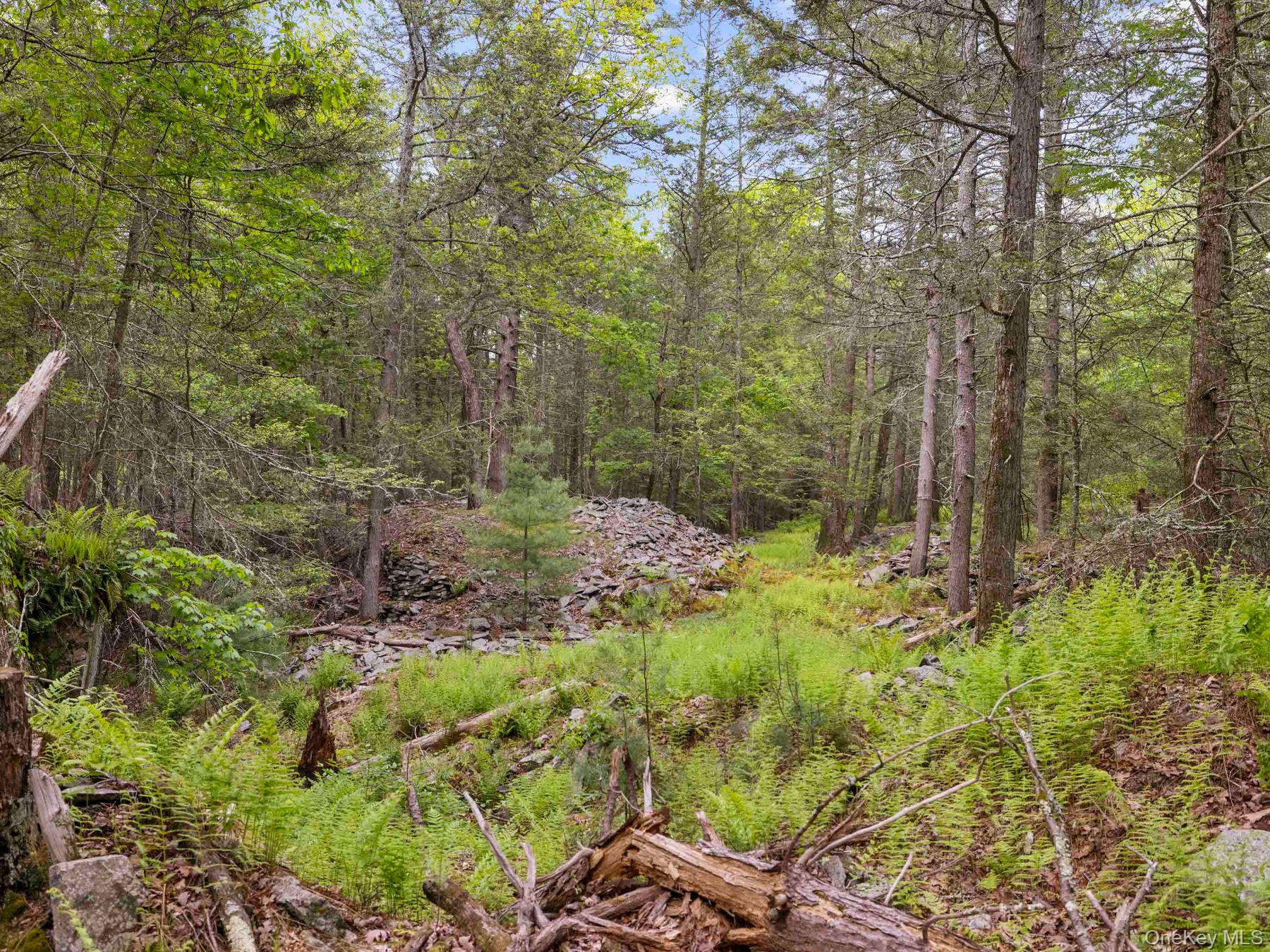 40 Mamoud Hills, Lot #4 Road – For Sale photo 35