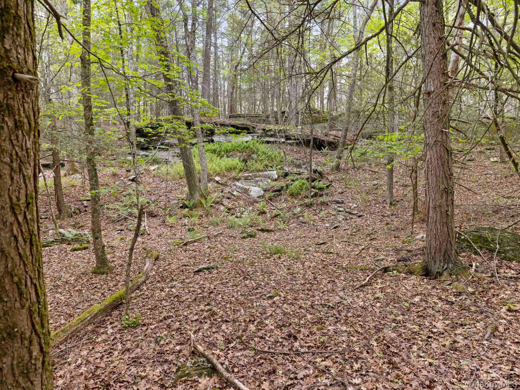 40 Mamoud Hills, Lot #4 Road – For Sale photo 32