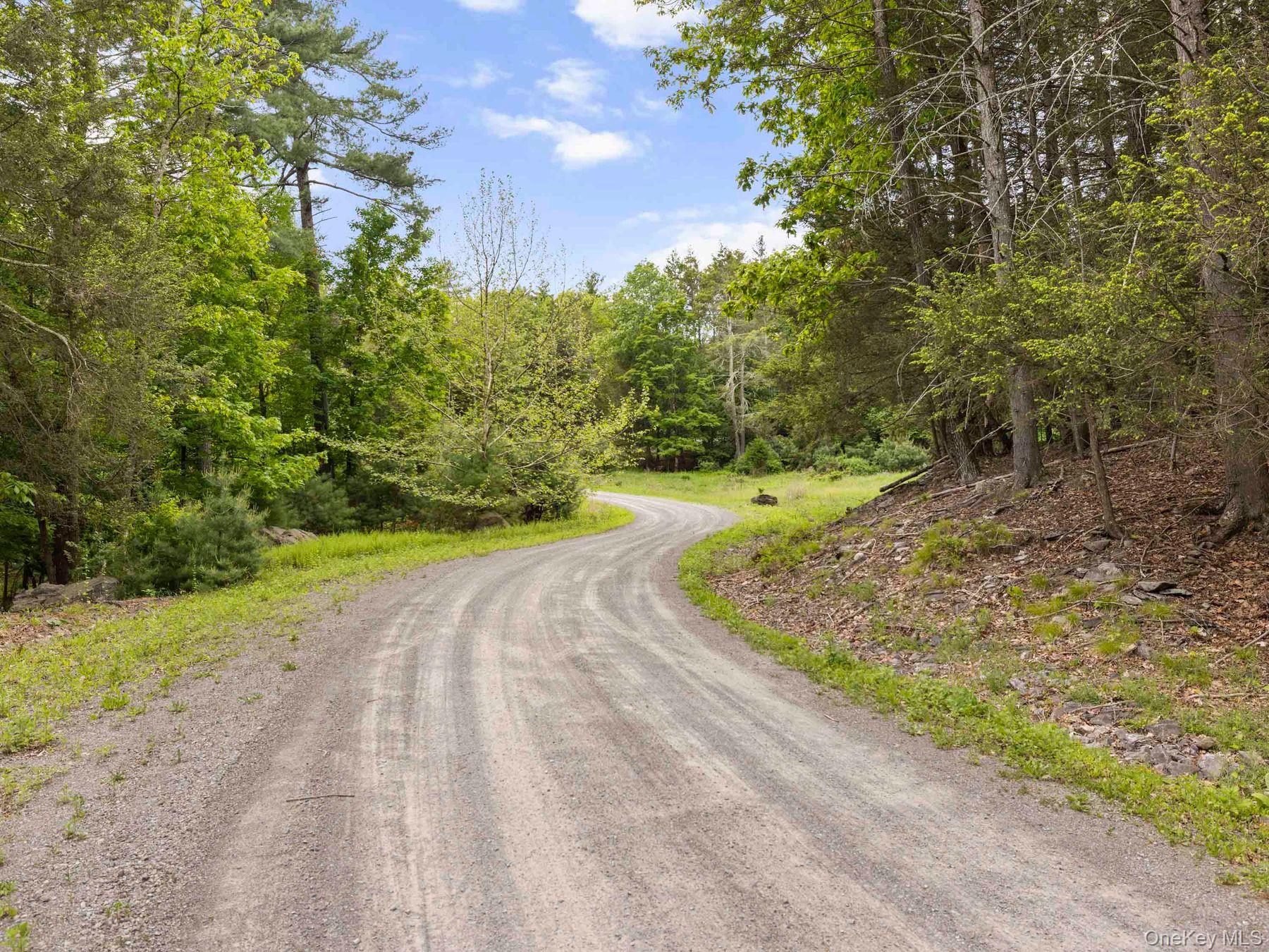 40 Mamoud Hills, Lot #4 Road – For Sale photo 13