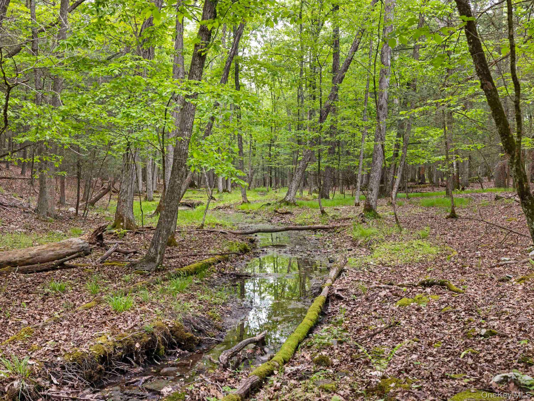 40 Mamoud Hills, Lot #4 Road – For Sale photo 39