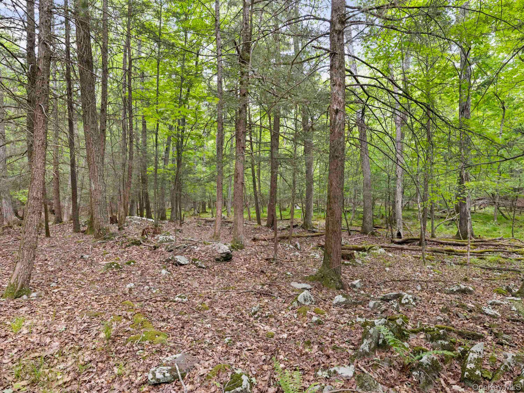 40 Mamoud Hills, Lot #4 Road – For Sale photo 31