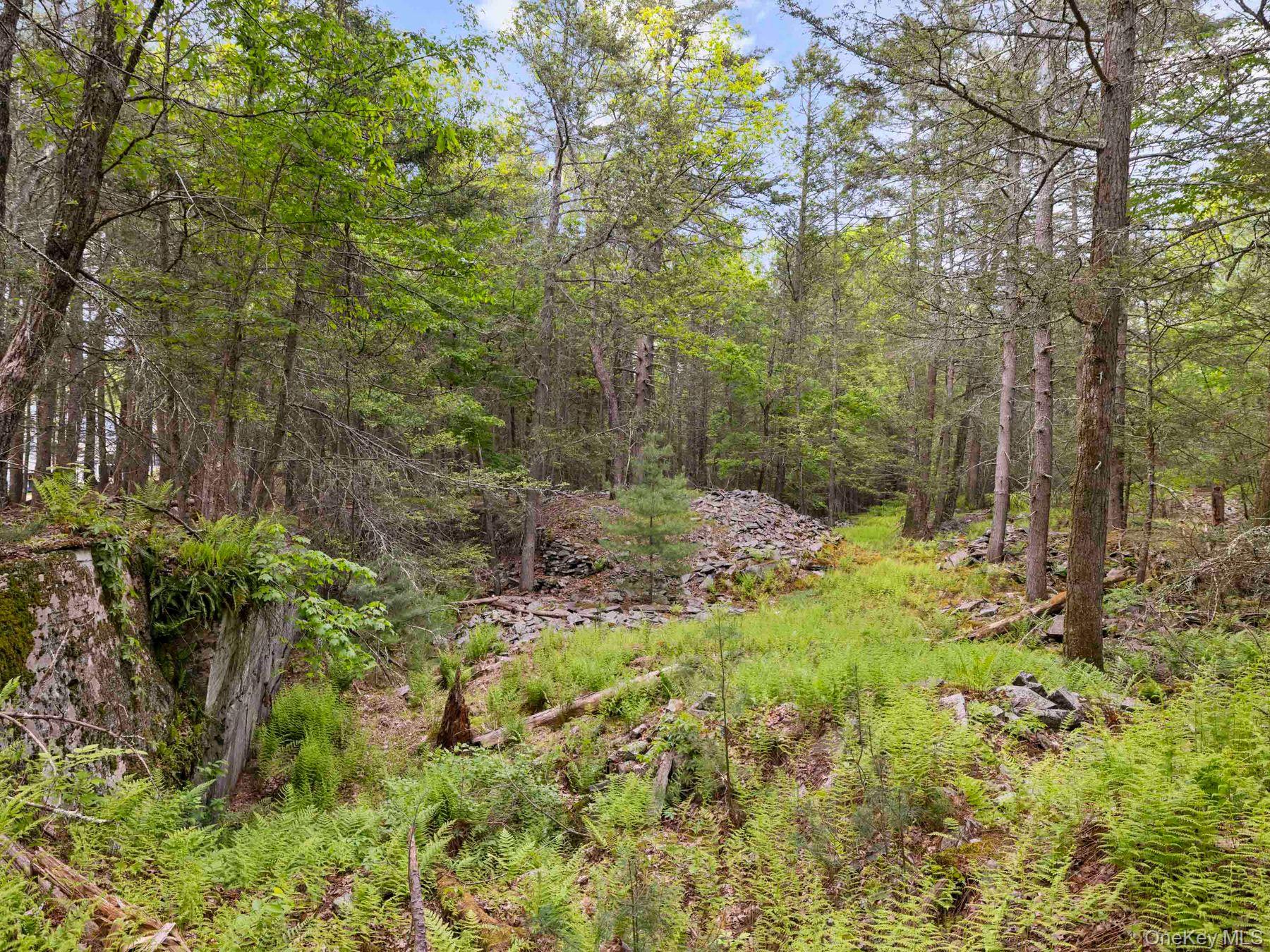 40 Mamoud Hills, Lot #4 Road – For Sale photo 34