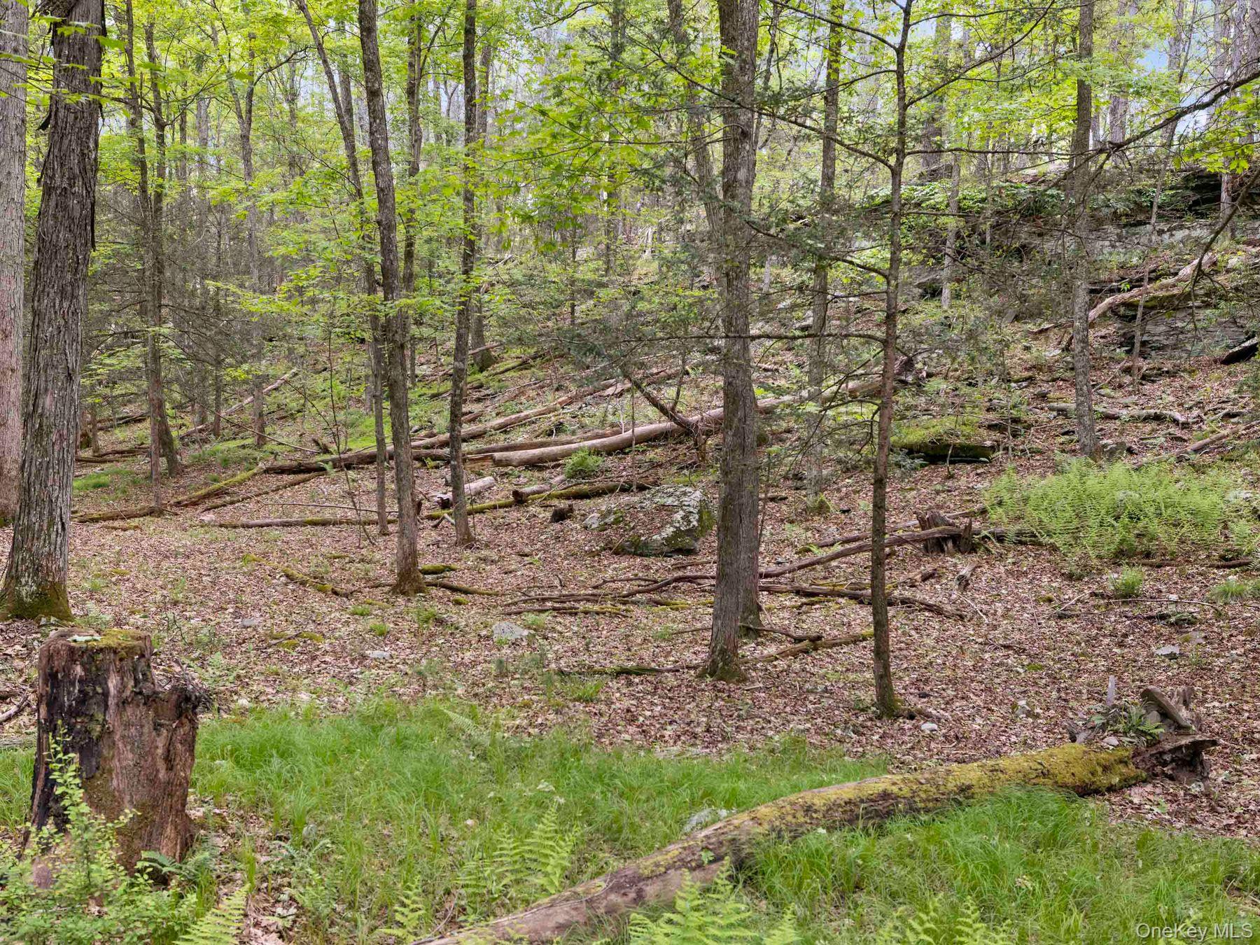 40 Mamoud Hills, Lot #4 Road – For Sale photo 30