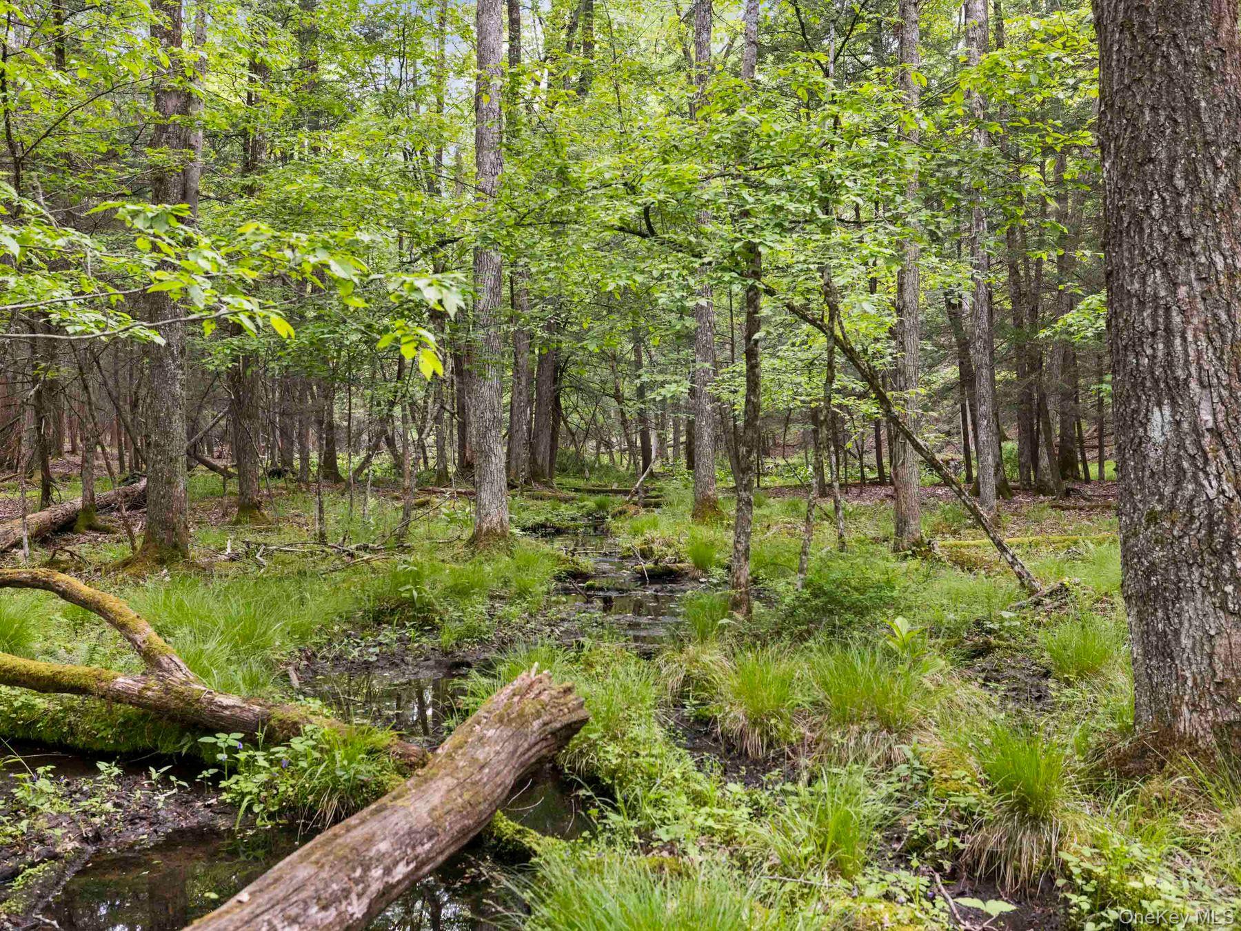 40 Mamoud Hills, Lot #4 Road – For Sale photo 28