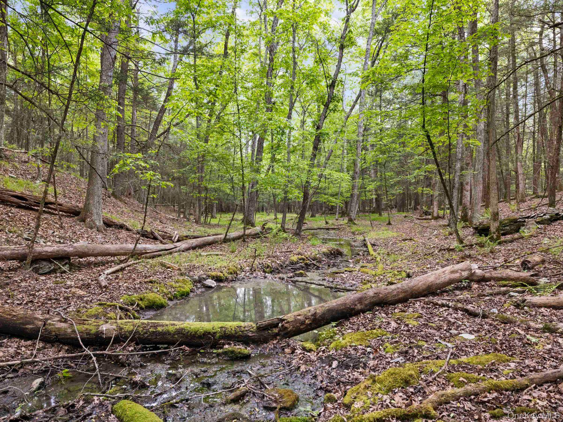 40 Mamoud Hills, Lot #4 Road – For Sale photo 38