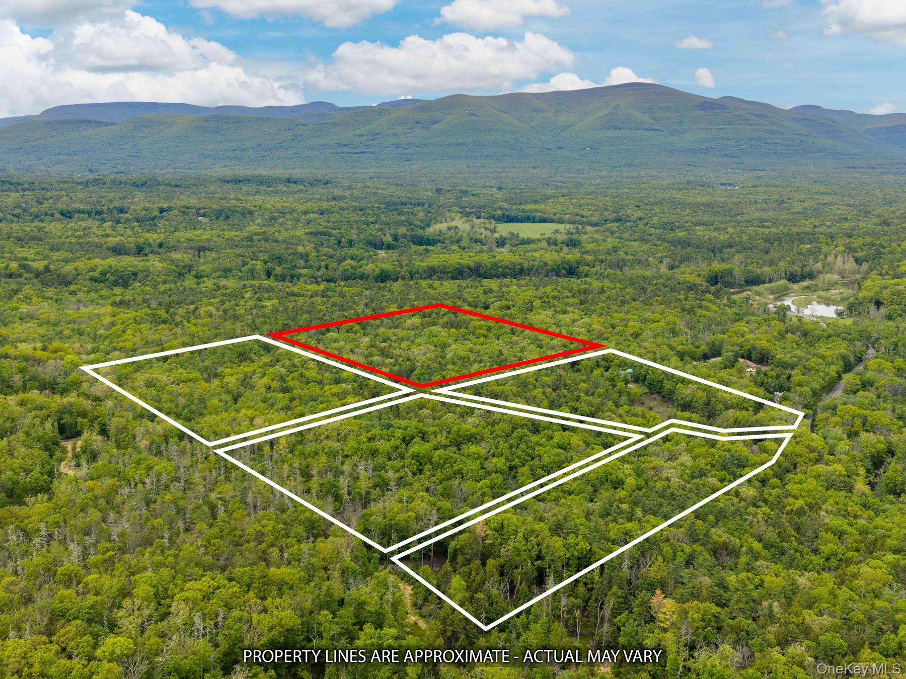 40 Mamoud Hills, Lot #4 Road – For Sale