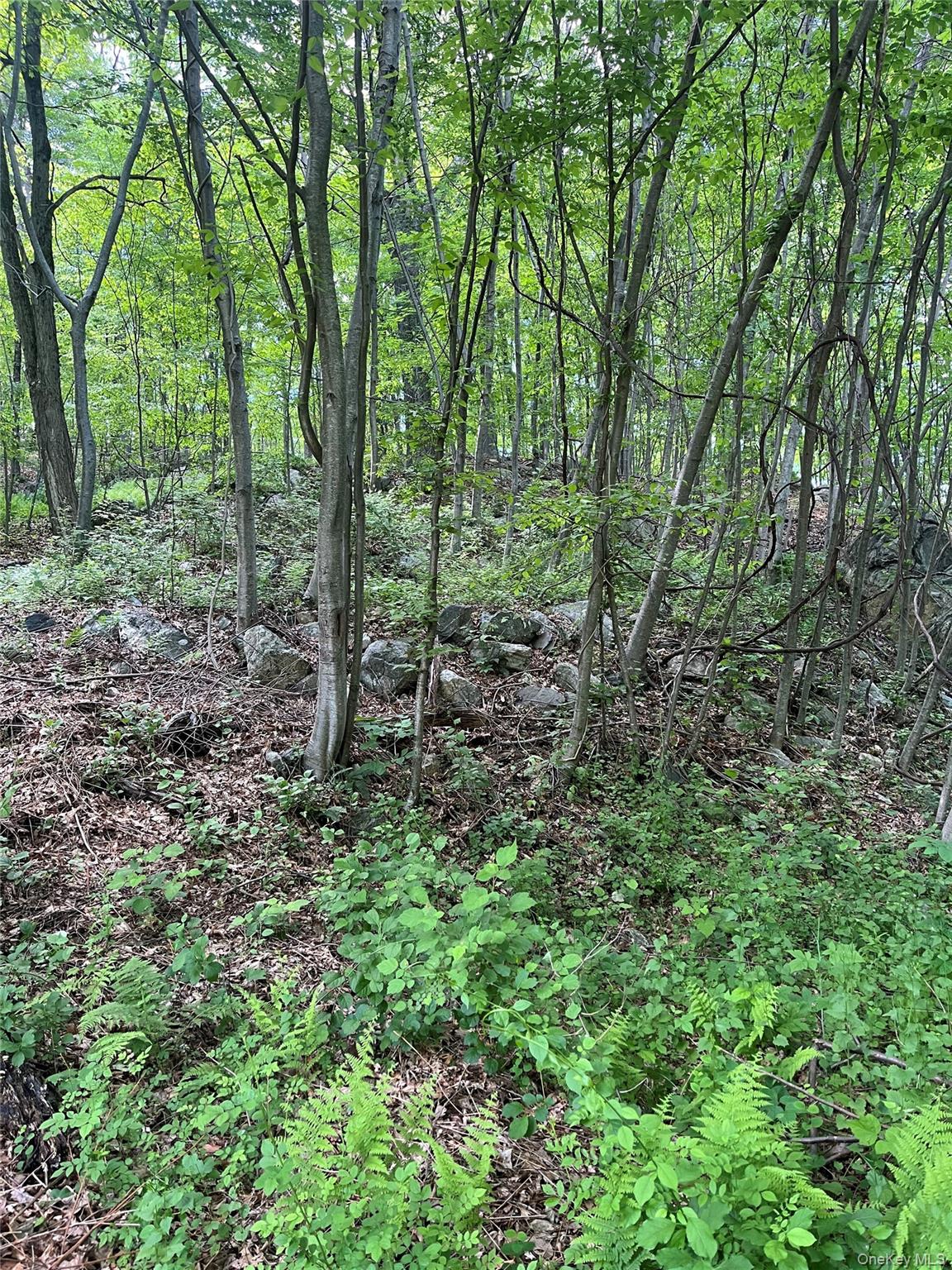 Old Church Road – For Sale photo 15