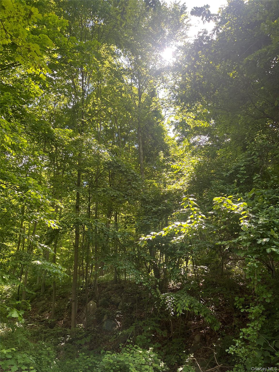 Old Church Road – For Sale photo 27