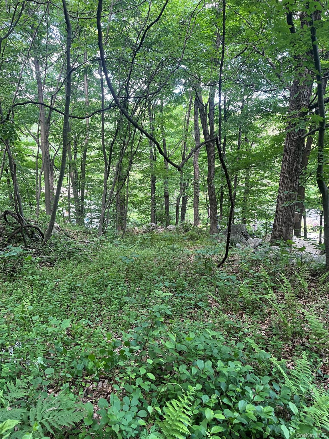 Old Church Road – For Sale photo 19