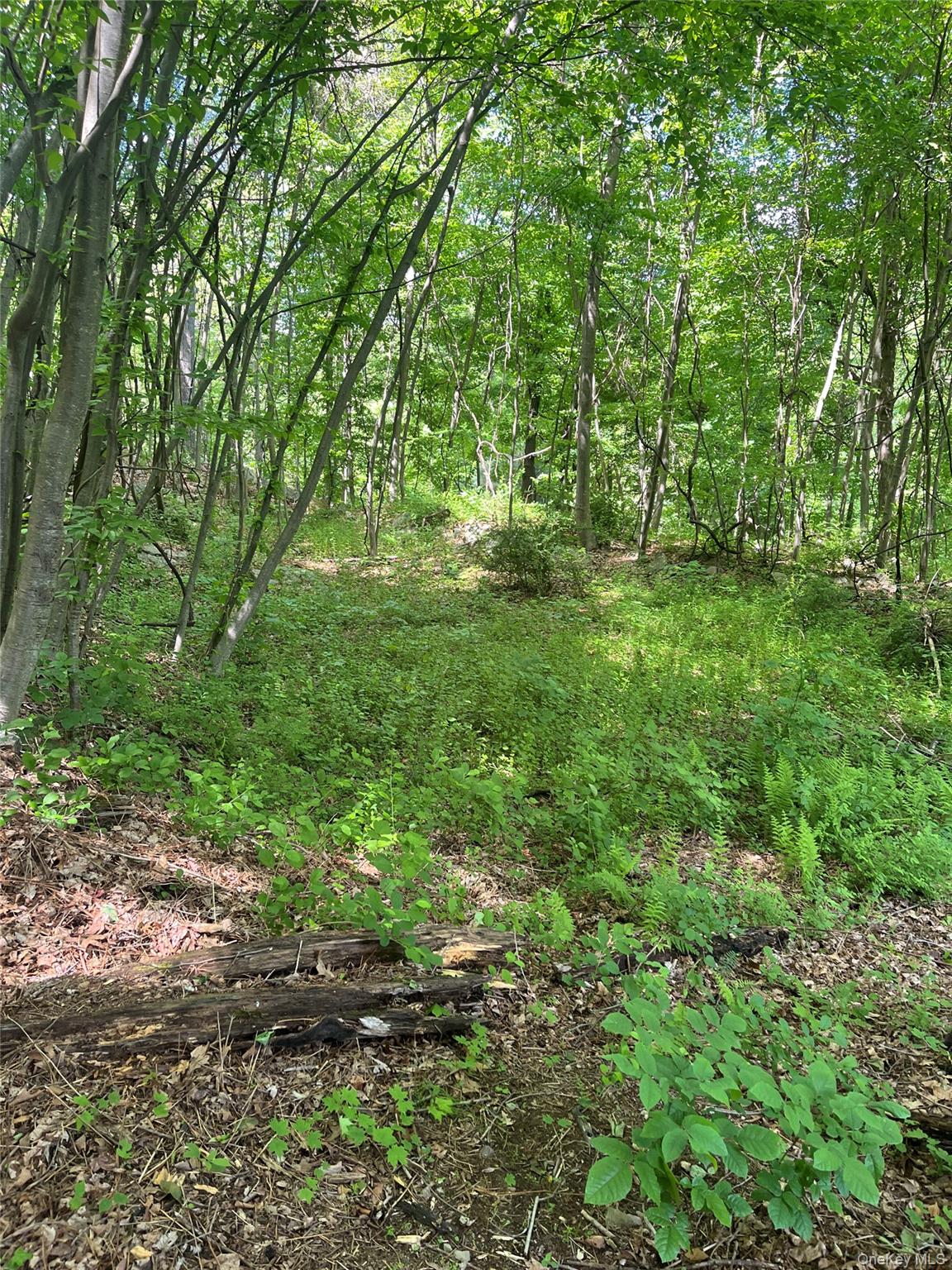 Old Church Road – For Sale photo 10