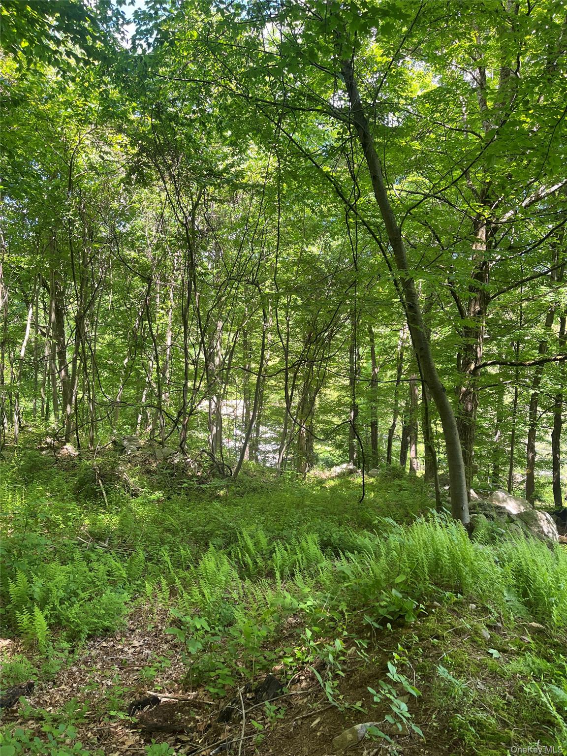 Old Church Road – For Sale photo 12