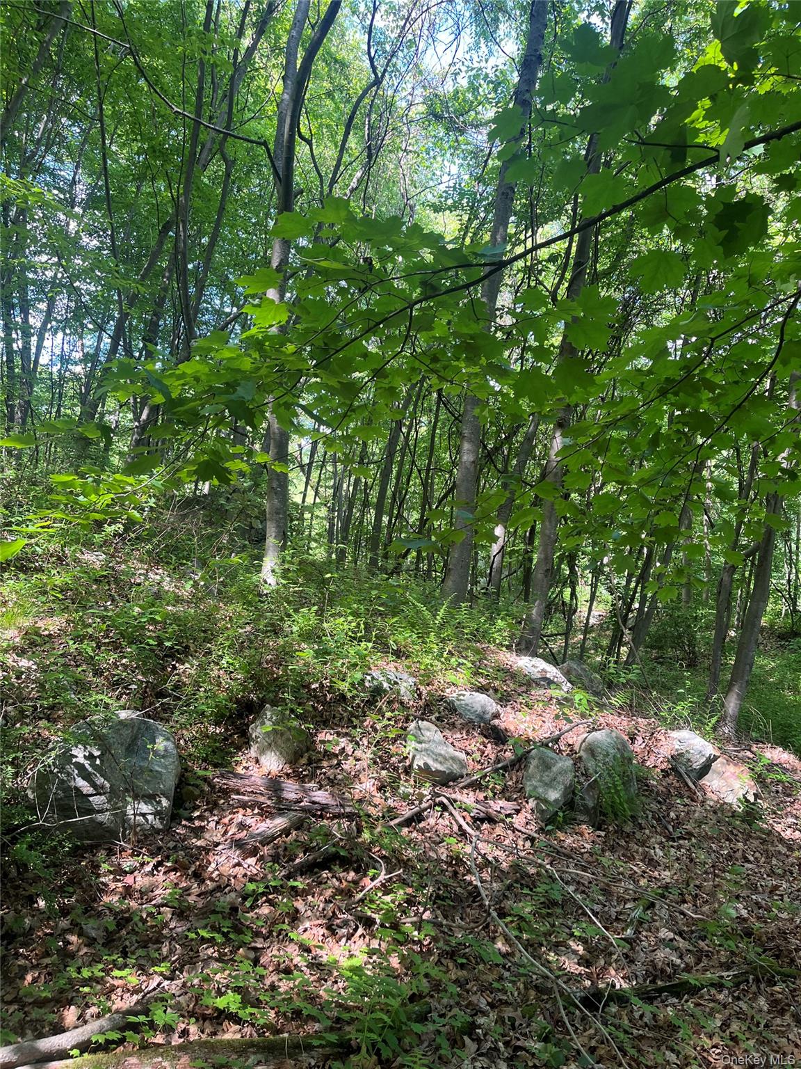 Old Church Road – For Sale photo 13