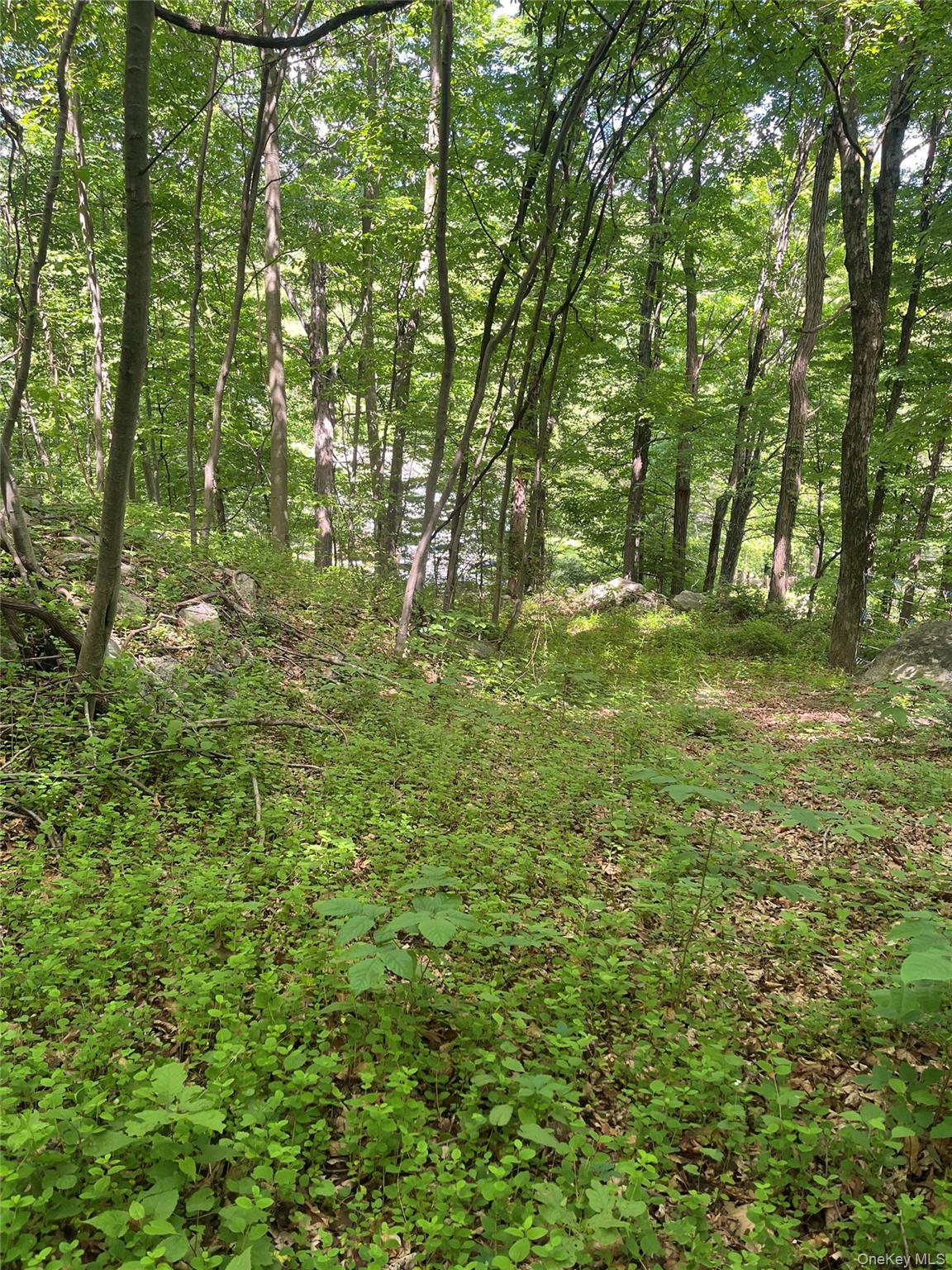 Old Church Road – For Sale photo 4