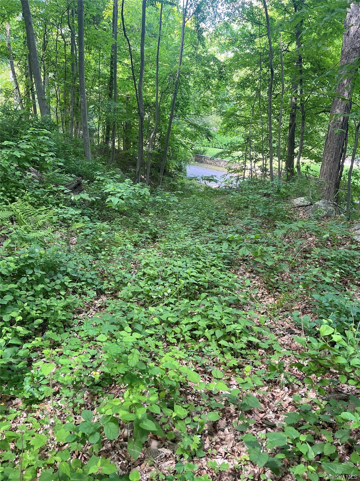 Old Church Road – For Sale photo 2